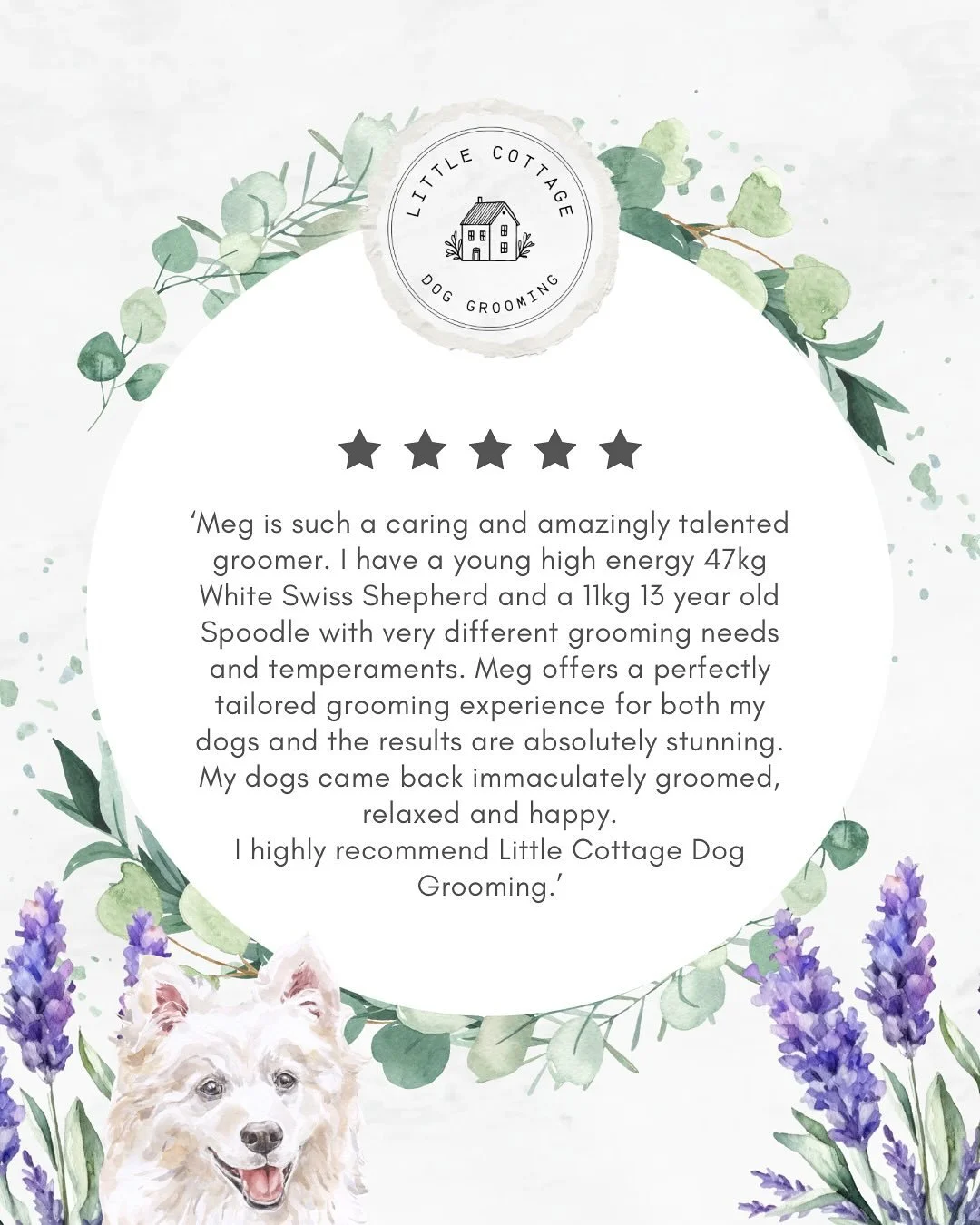 🌻 Just a few recent reviews Little Cottage Dog Grooming has received! 🥹

Hearing your beautiful feedback honestly makes my whole day and I especially appreciate the time you take to write a review. It means the world to me knowing your dog/s are ha