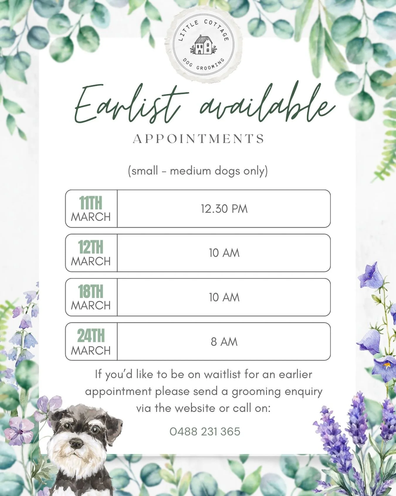 ✨ February is now fully booked with March not far behind! ✨
With majority of clients being on a re-occurring schedule this means 2026 is filling up very quickly! Only a handful of re-occurring appointments are available till the end of the year! 😮 
