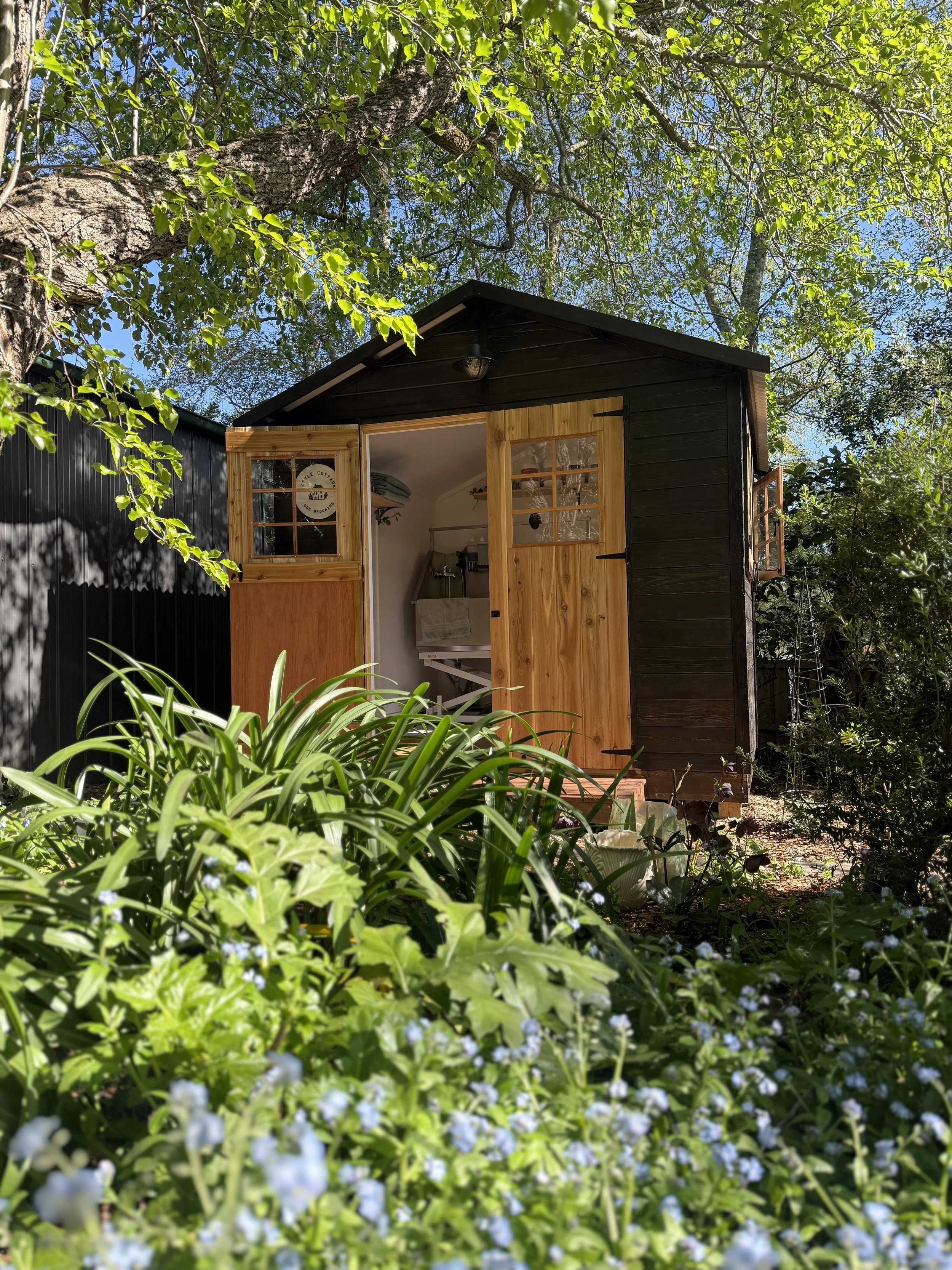 A small garden shed nestled among lush green plants and trees, with open wooden doors revealing the interior, under a bright blue sky.