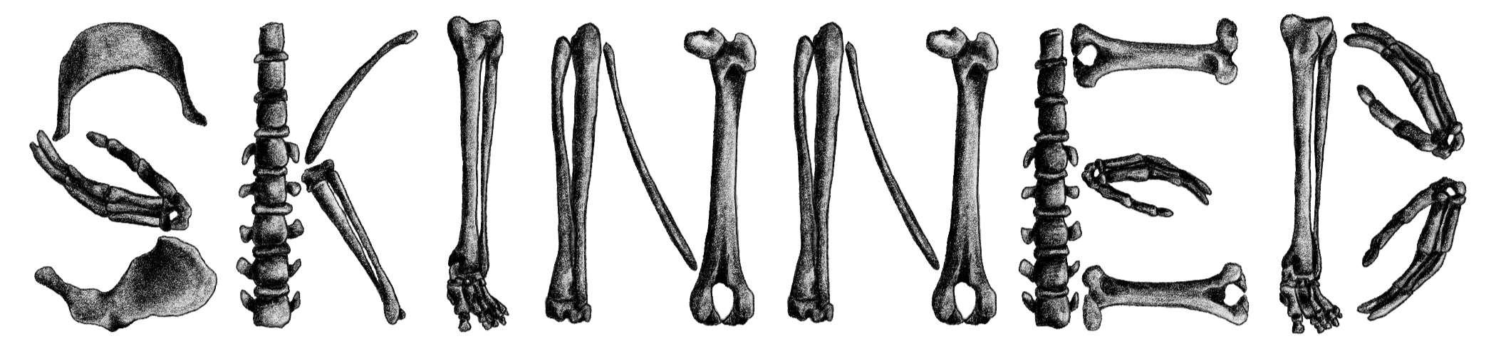 Skeleton spelling the word 'SKINNED'.