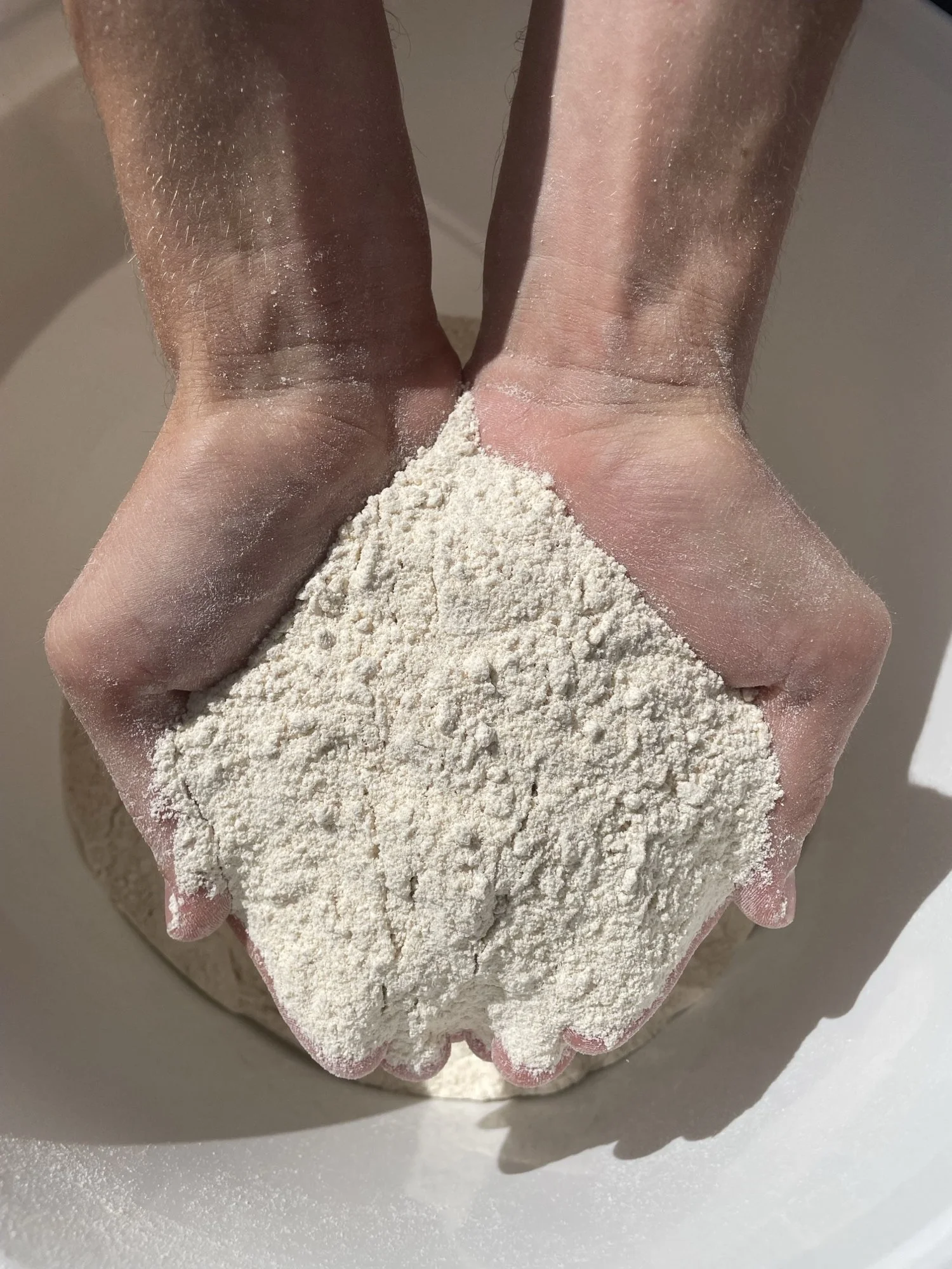 Whole Grain Wheat: A Healthier Alternative