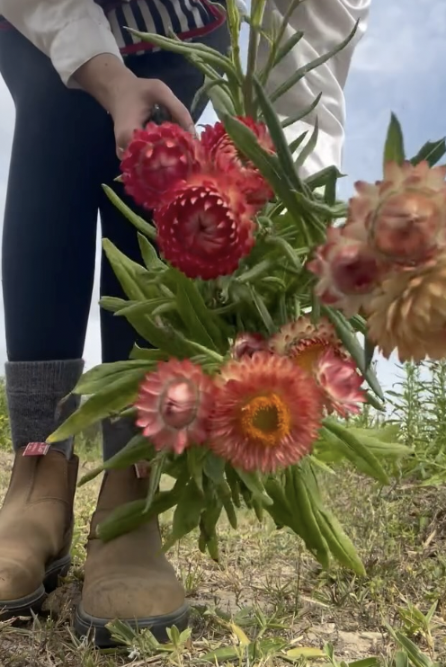 Screenshot 2026-01-21 at 10.13.28 am.png