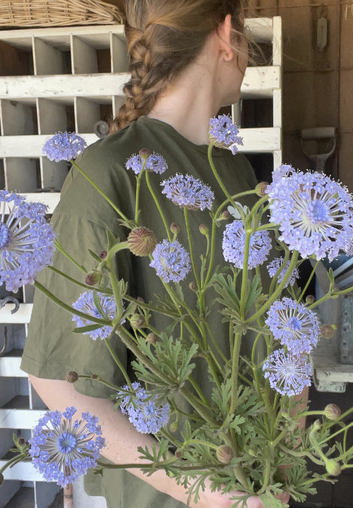 Screenshot 2026-01-21 at 10.13.45 am.png