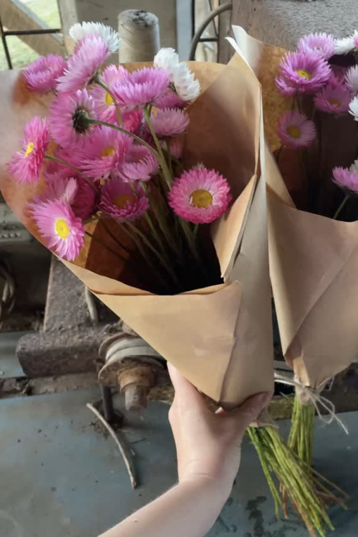 Screenshot 2026-01-21 at 10.12.36 am.png