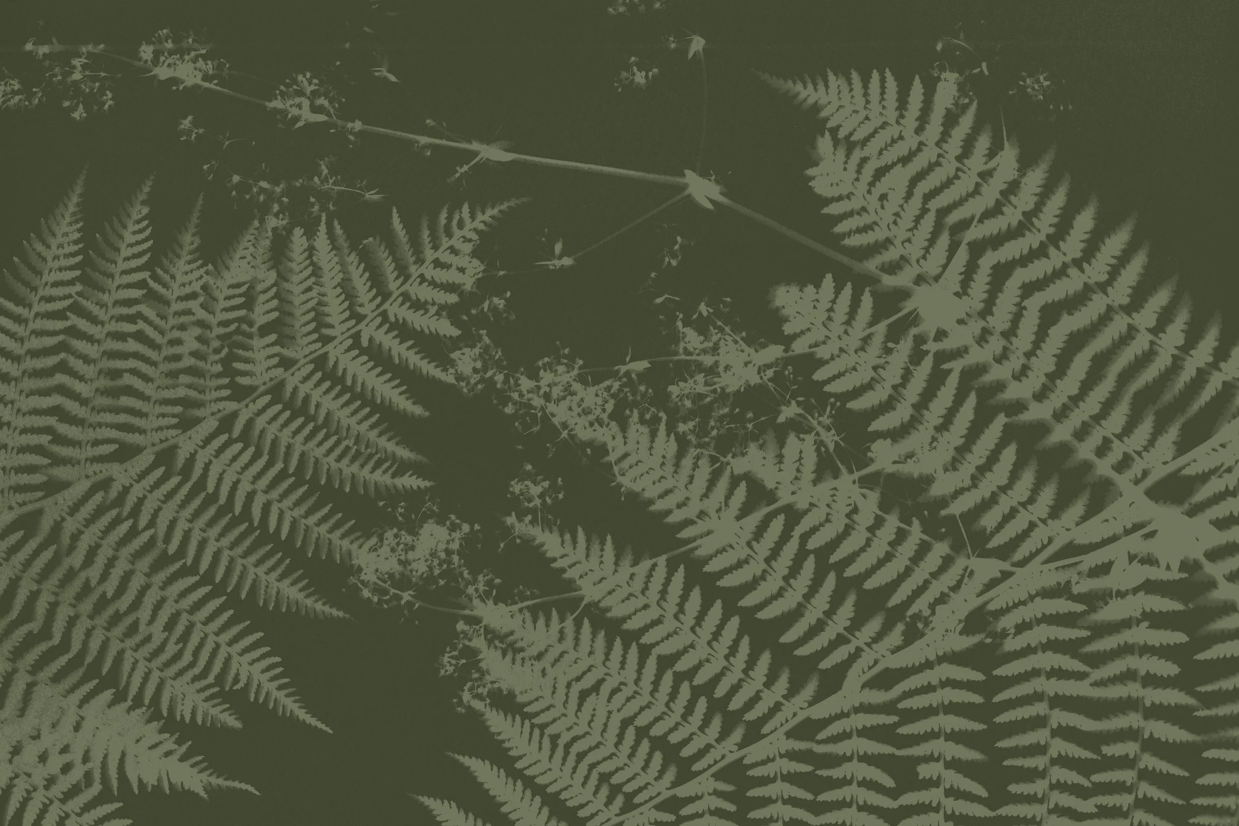 Green fern pattern.