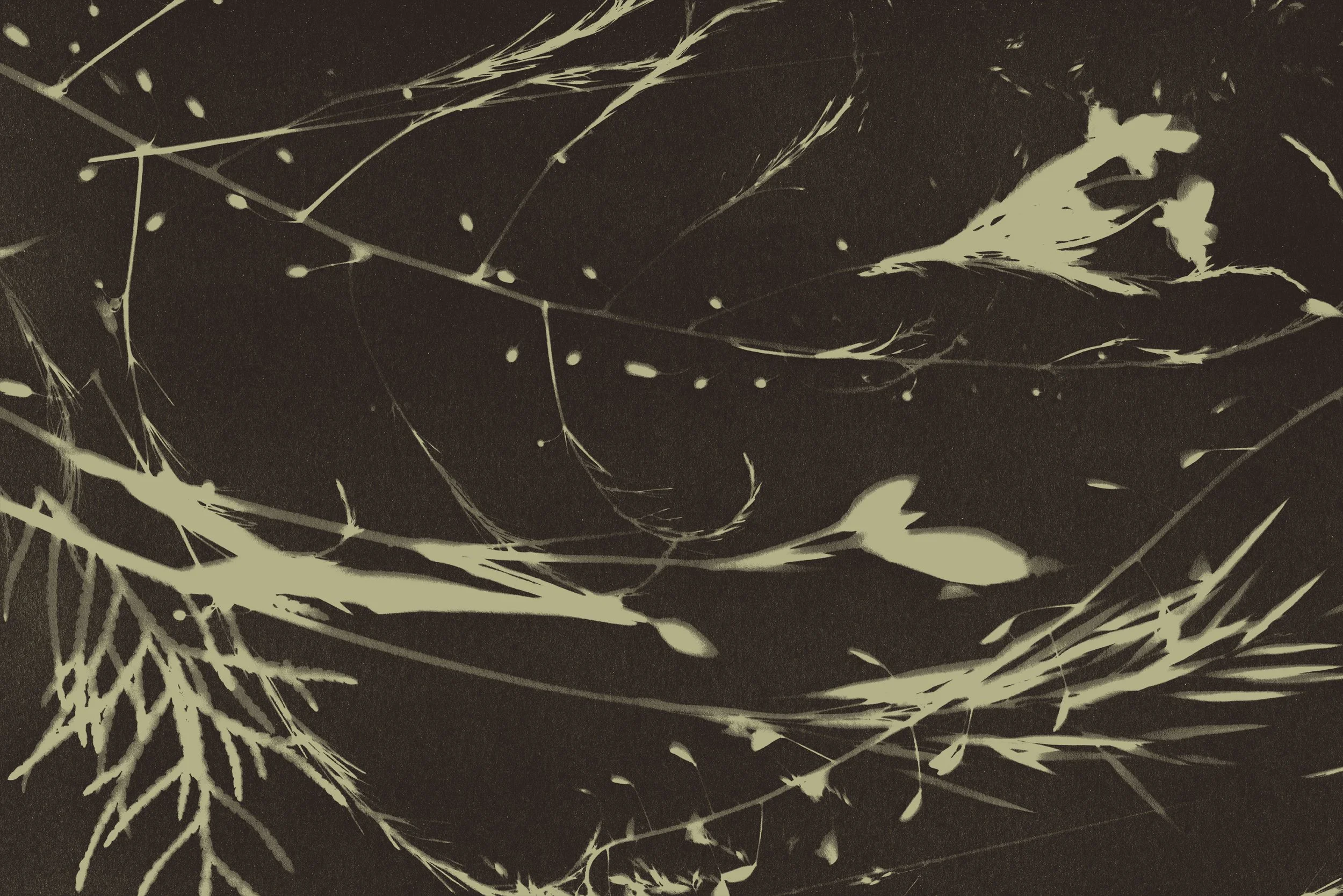 Black and green paint splatter pattern.