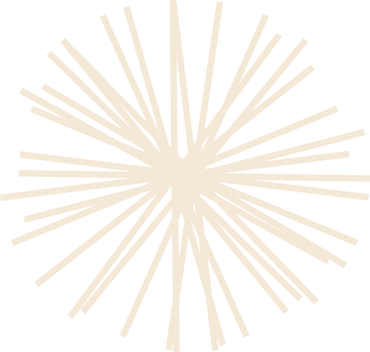 Cream starburst icon.