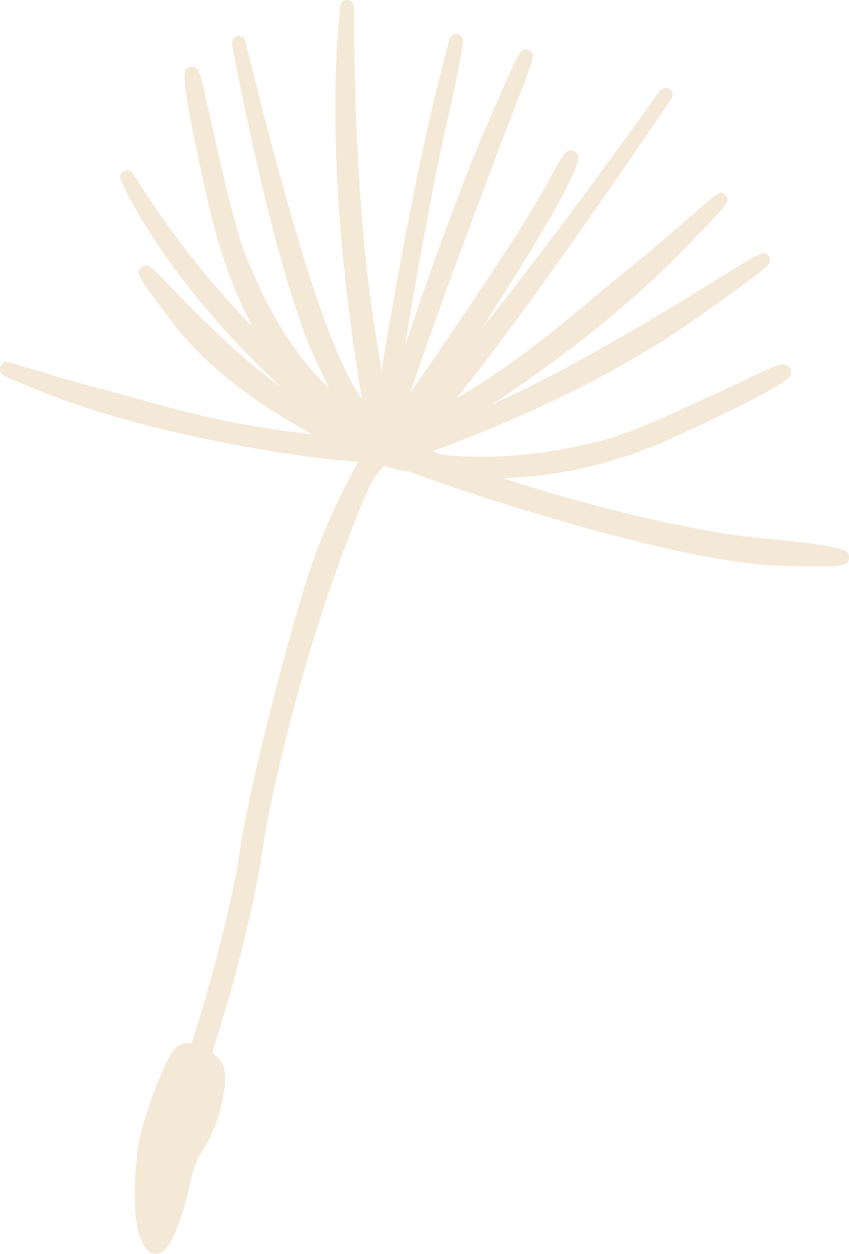 Cream dandelion icon.