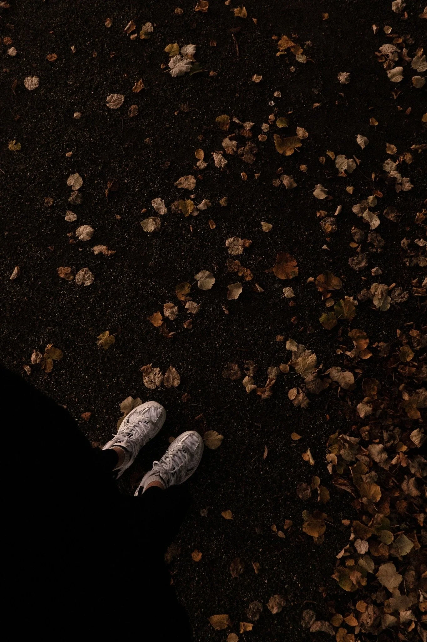 Point of view shot of a person looking down at their shoes on brown leaves.