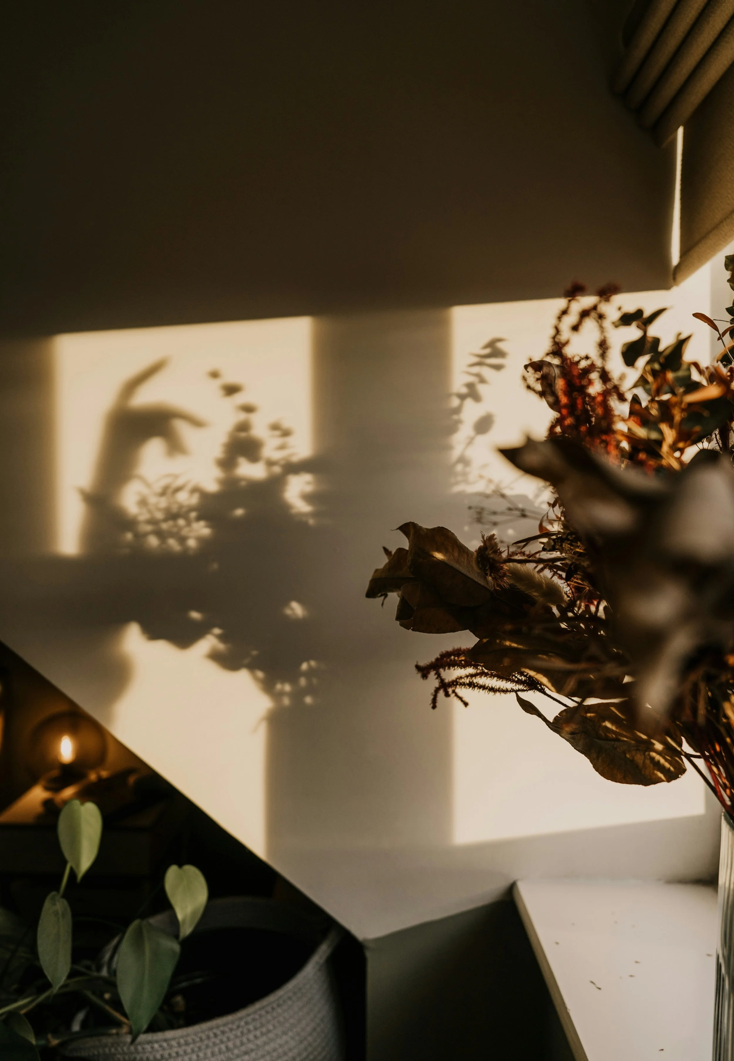 Plants and hands in shadow.