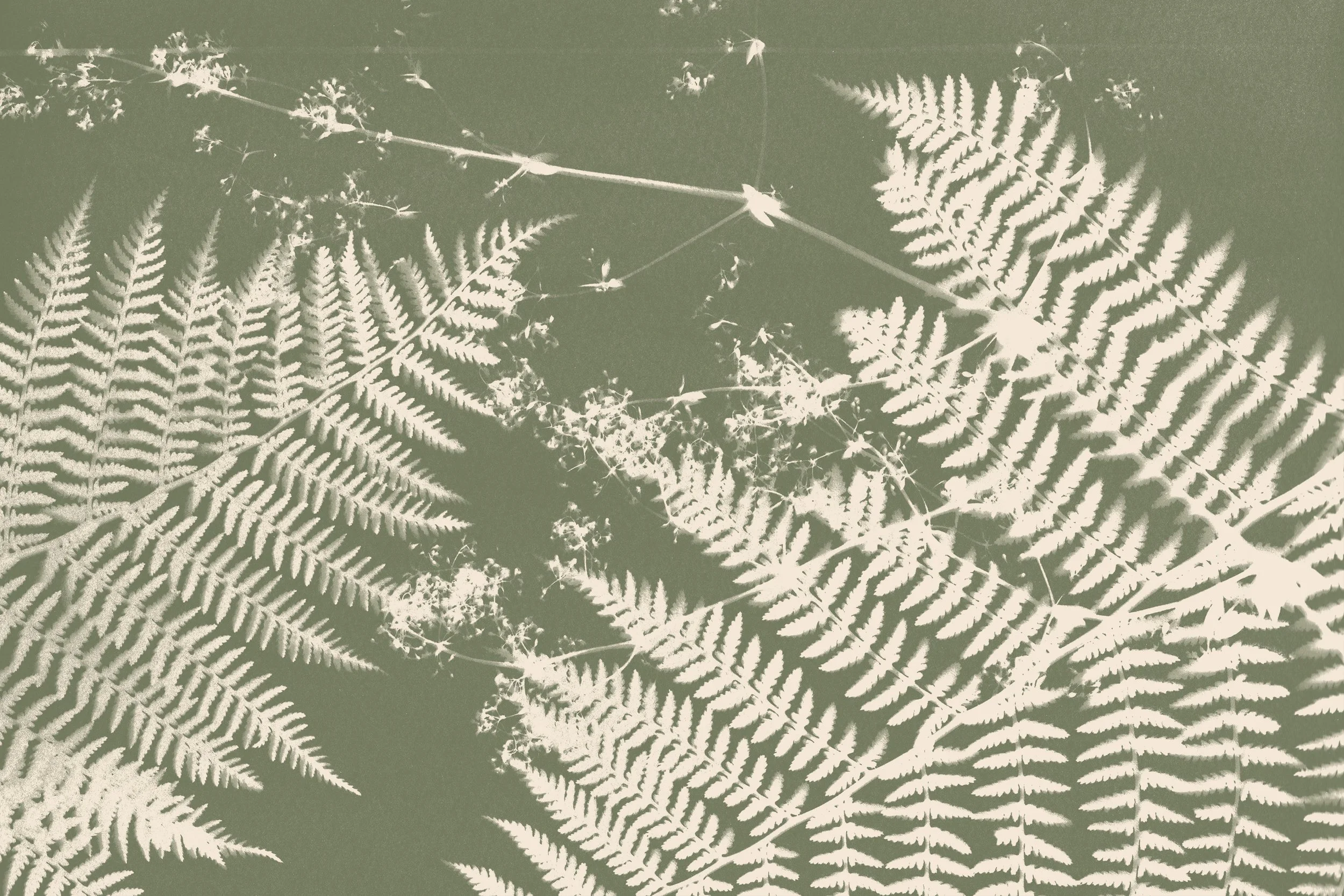 Pattern of cream ferns over a green background.