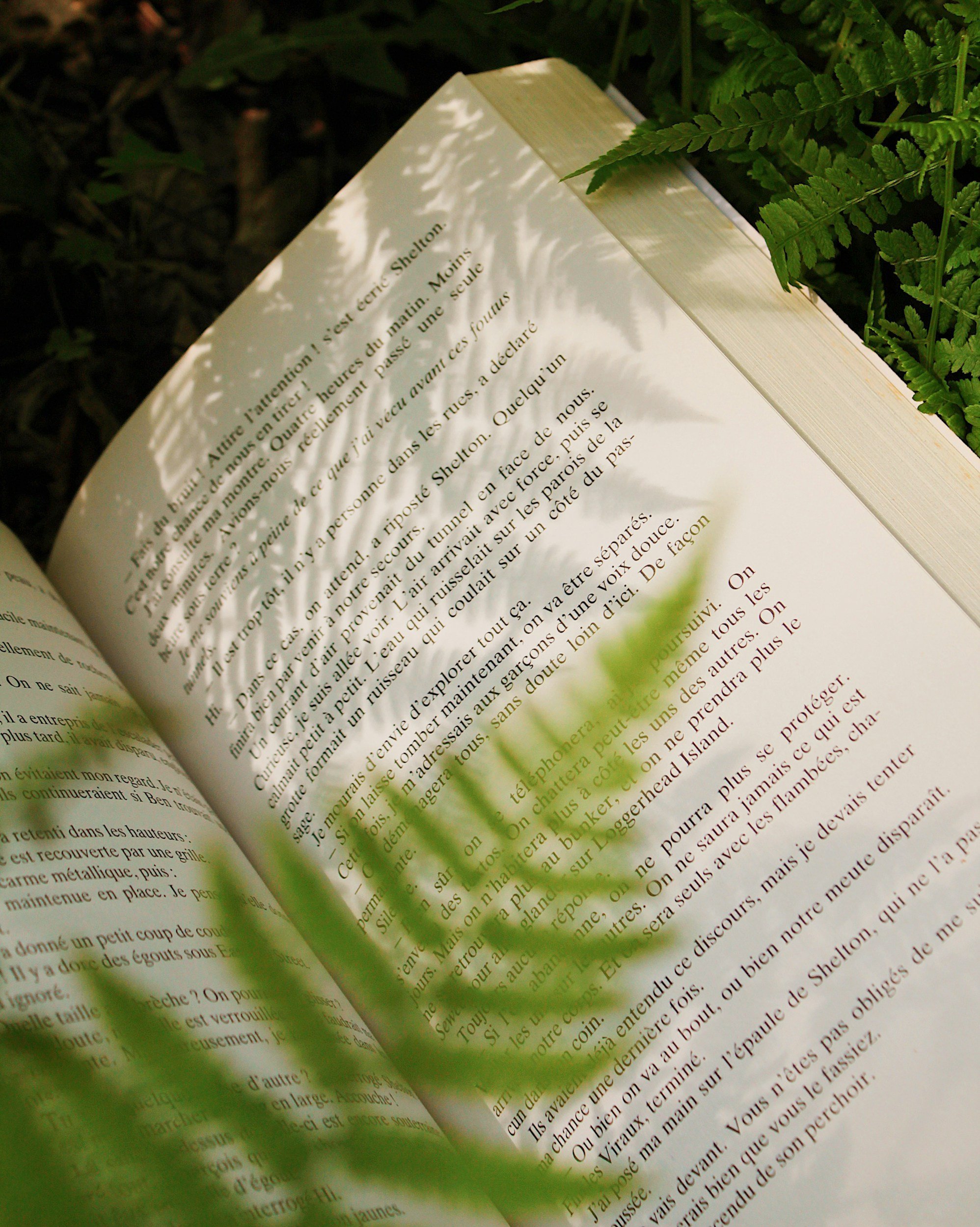 A fern over an open book.