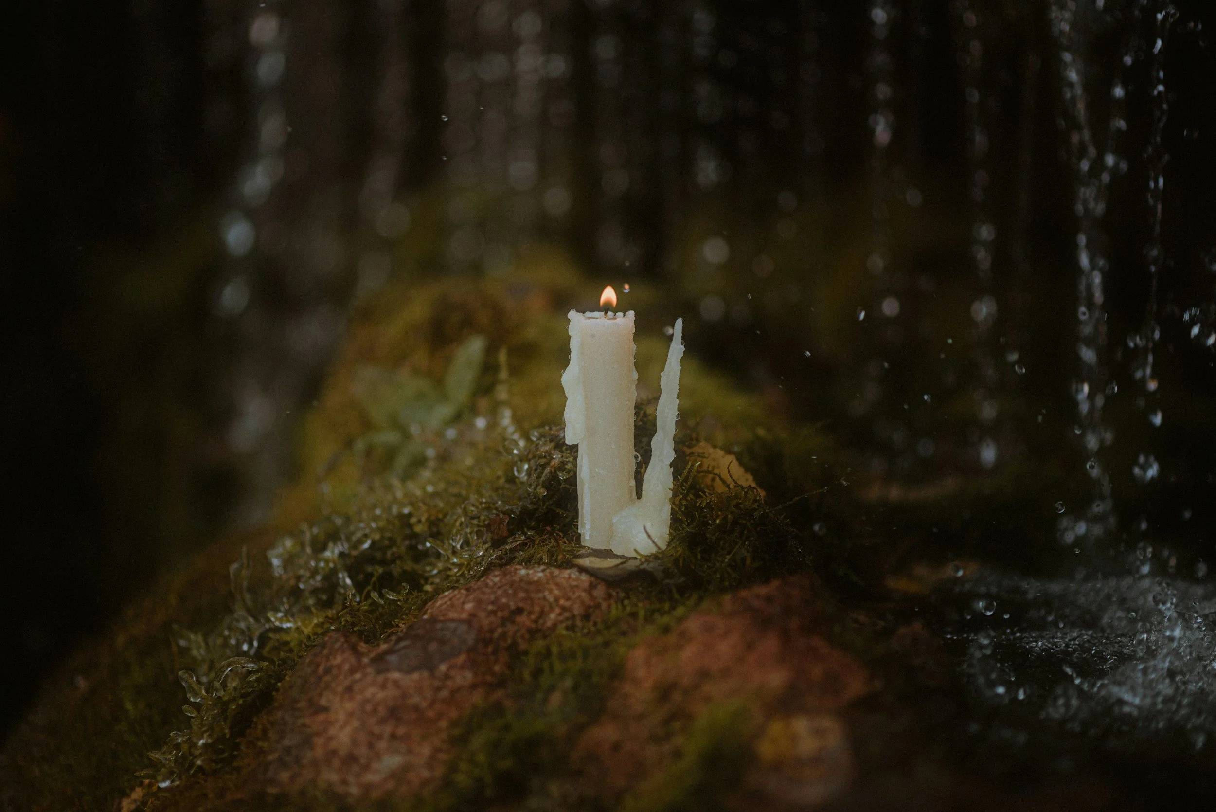a lit white candle in the woods