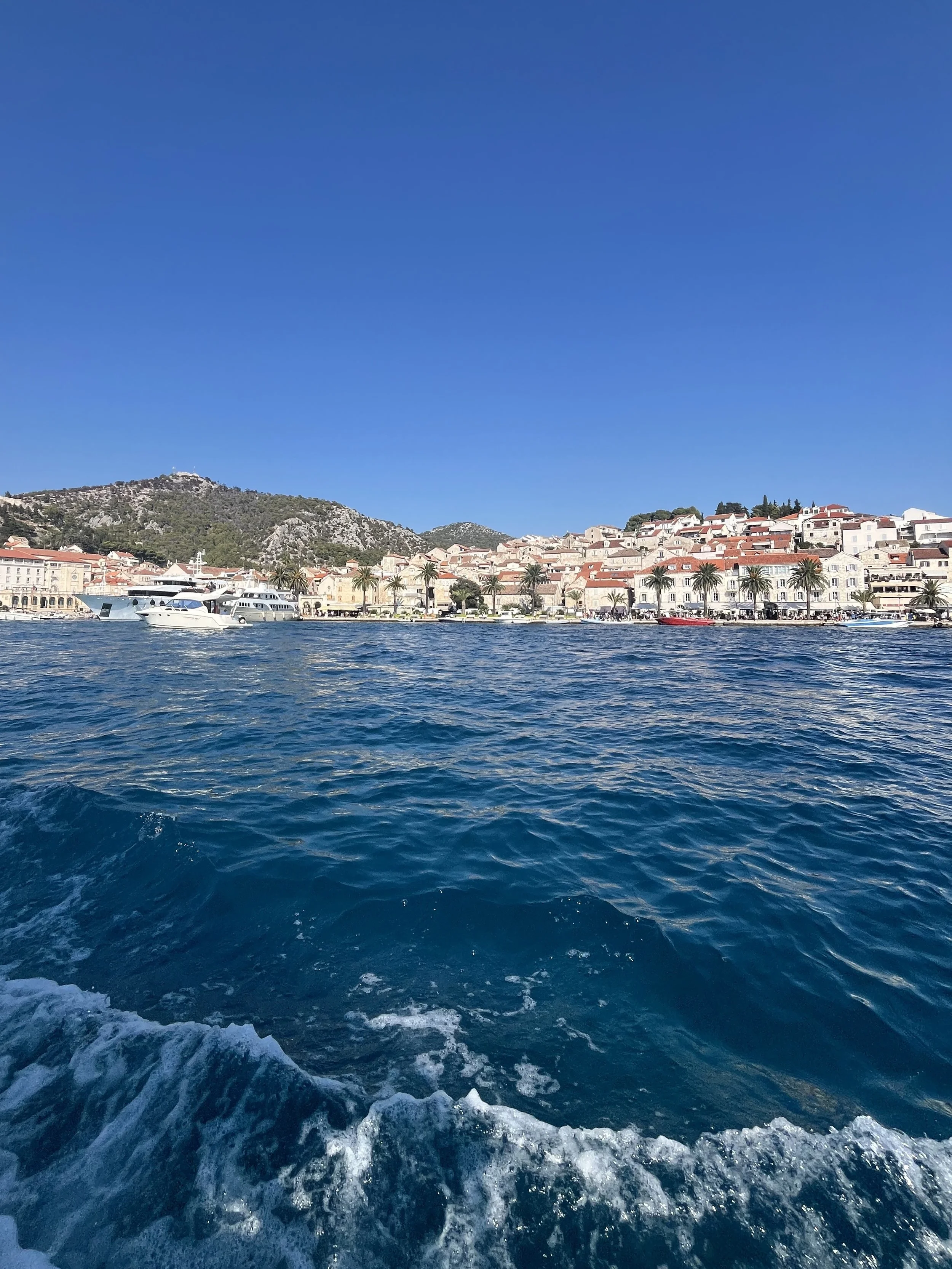 View of town of Hvar with its historical buildings with red roofs along the coast, palm trees and number of boats docked on the shore. Fort Spanjola of Hvar in the background.