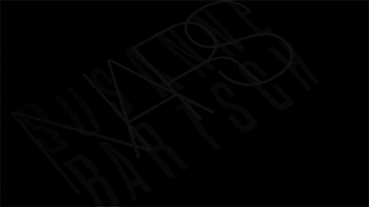 NARS.gif