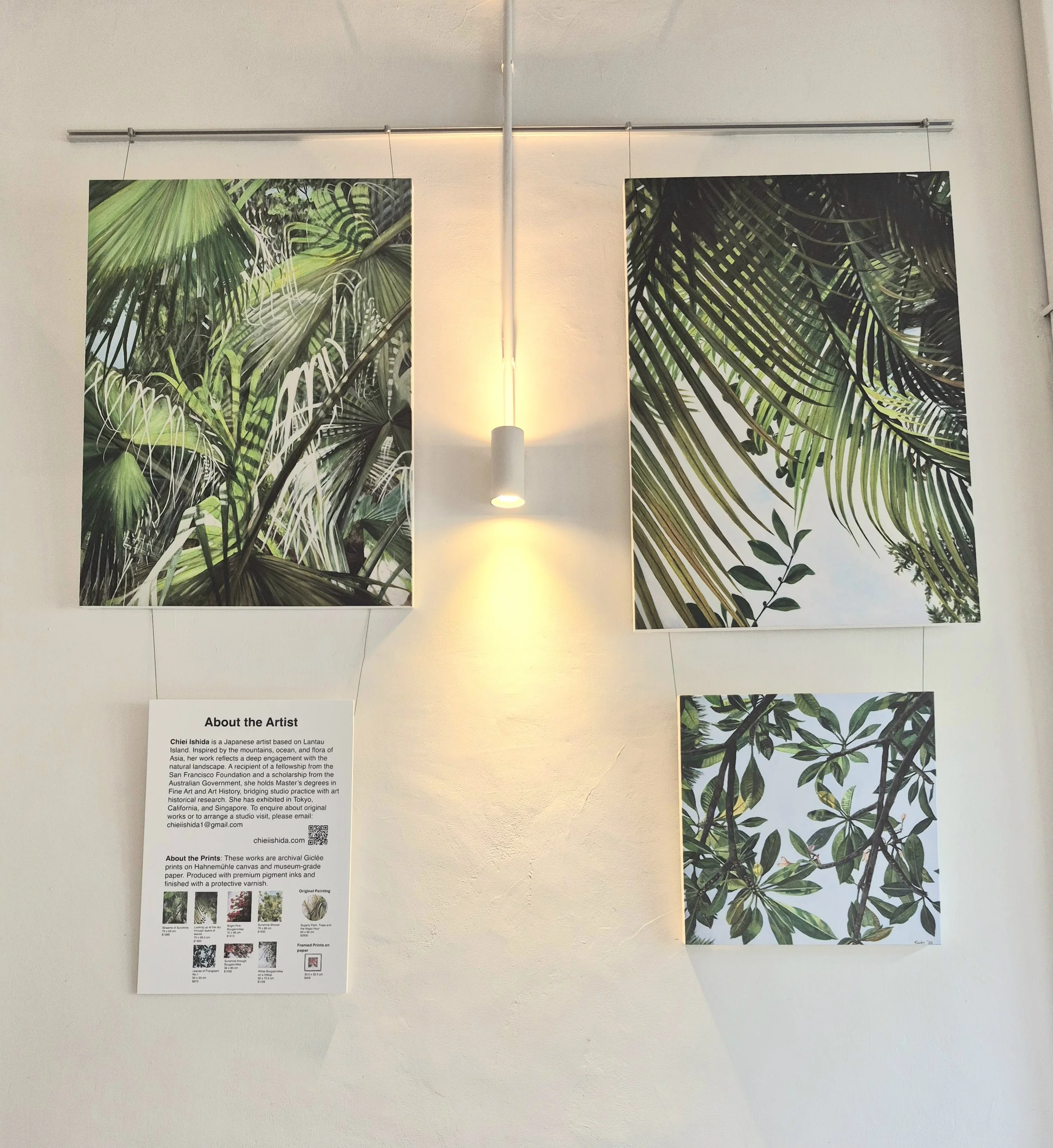 Installation view of prints on canvas, 2026