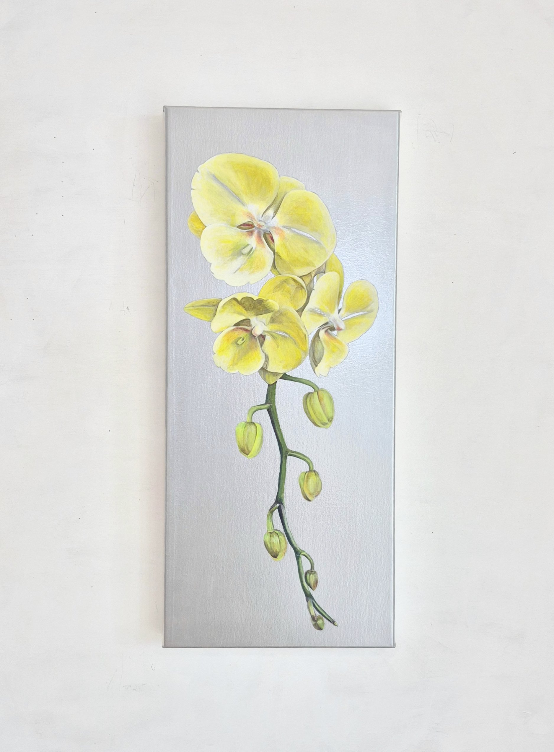 Innocent Moment, 2026, acrylic on canvas, 30 x 70 cm, Original painting HK$ 14,000