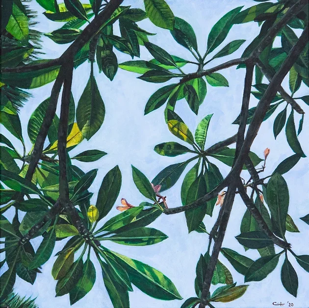 Giclée Print on Canvas, "Leaves of Frangipani No. 1", 50 x 50 cm.