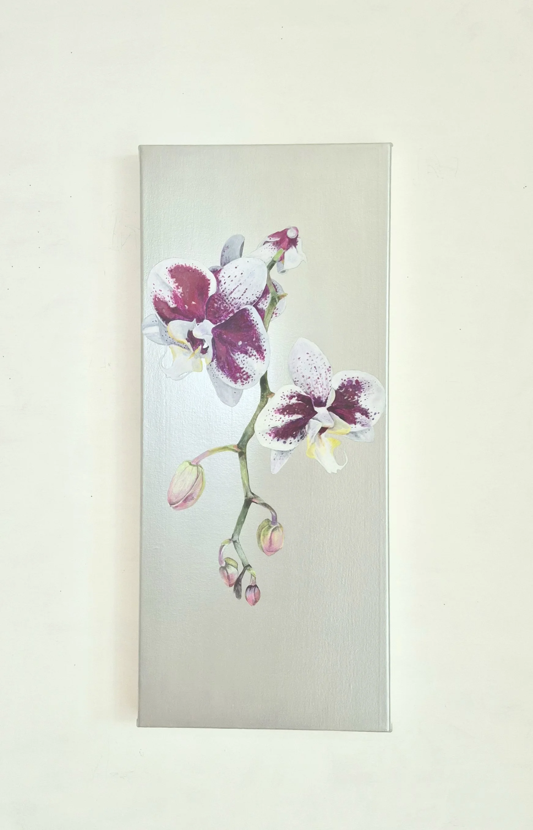 Clarifying Moment, 2026, acrylic on canvas, 30 x 70 cm, Original painting HK$ 14,000