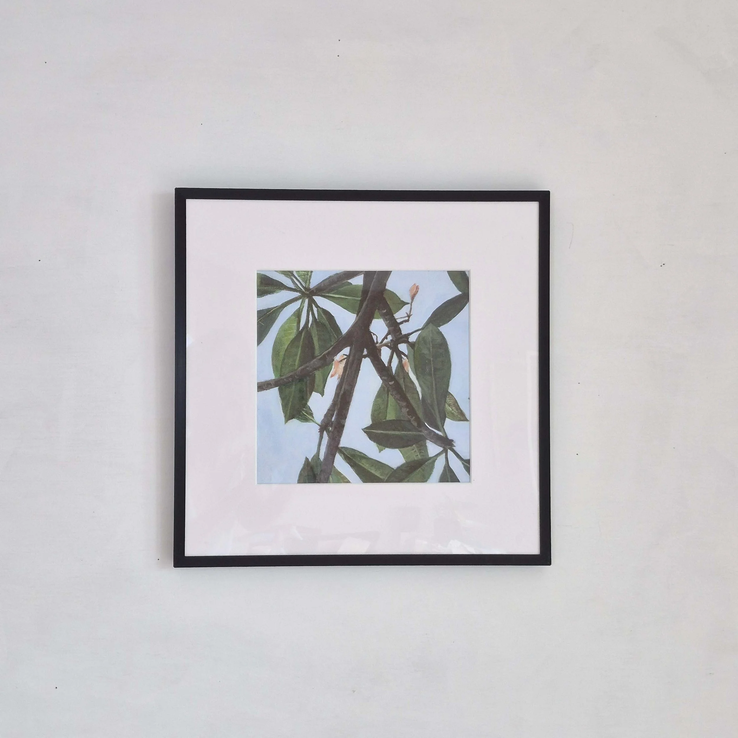 Framed Giclée Print on Paper, detail from "Leaves of Frangipani No.1," 33.5 x 33.5 cm, HK$ 408.