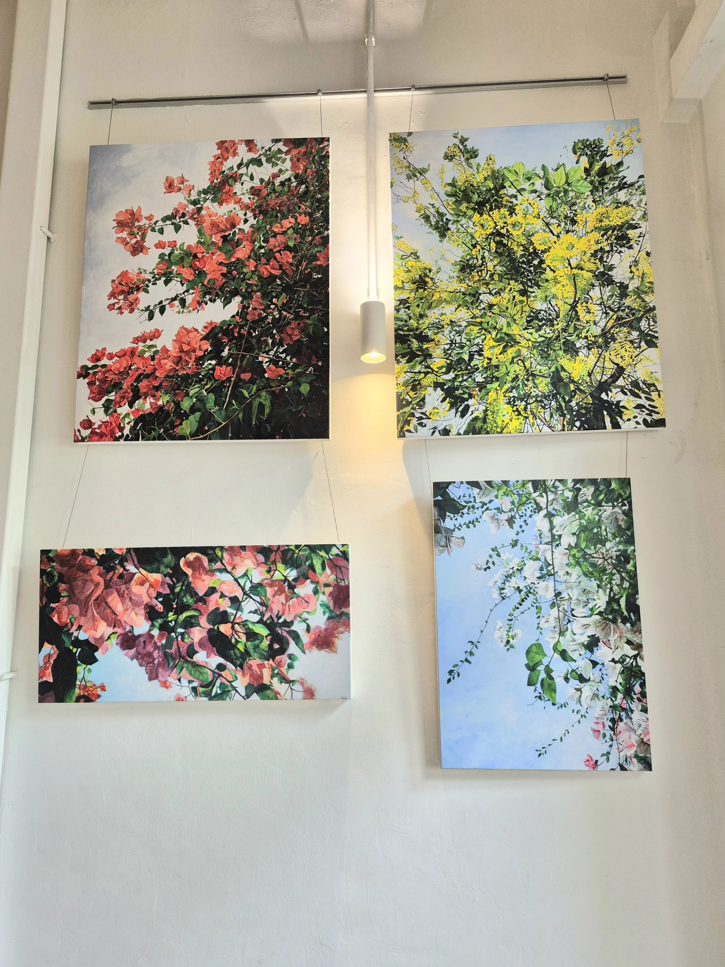 Installation view of prints on canvas, 2026