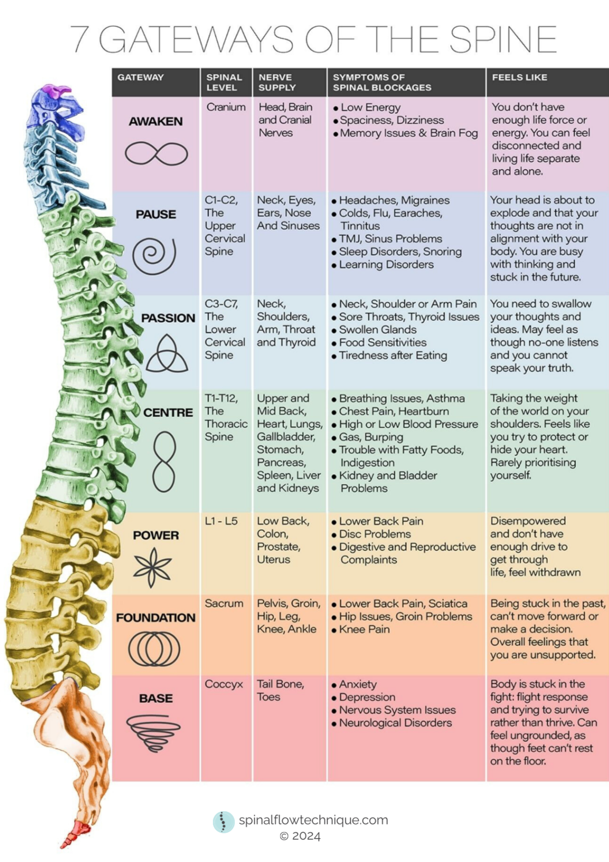 Diagram titled '7 Gateways of the Spine' showing a colored illustration of the human spine with seven sections labeled: Awaken, Pause, Passion, Centre, Power, Foundation, and Base. Each section includes the spinal level, nerve supply, symptoms of spinal blockages, and feelings associated with each gateway.