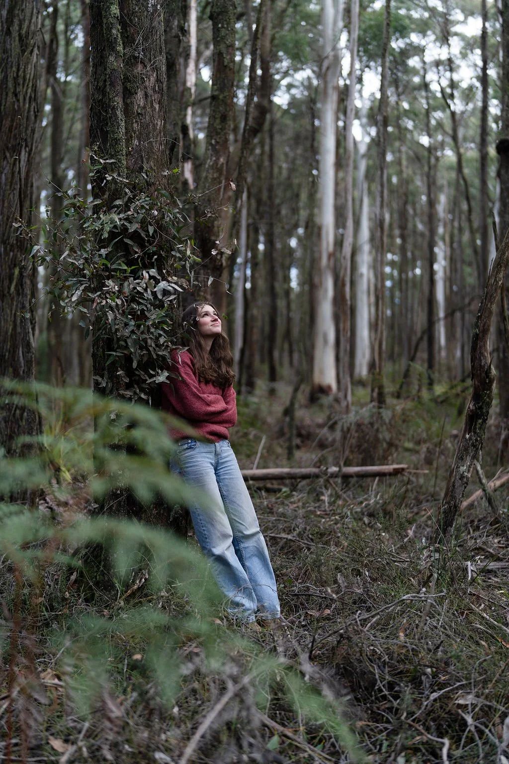 Young lady in light wash jeans and maroon jumper leaning on tree in forest looking up to the sky.