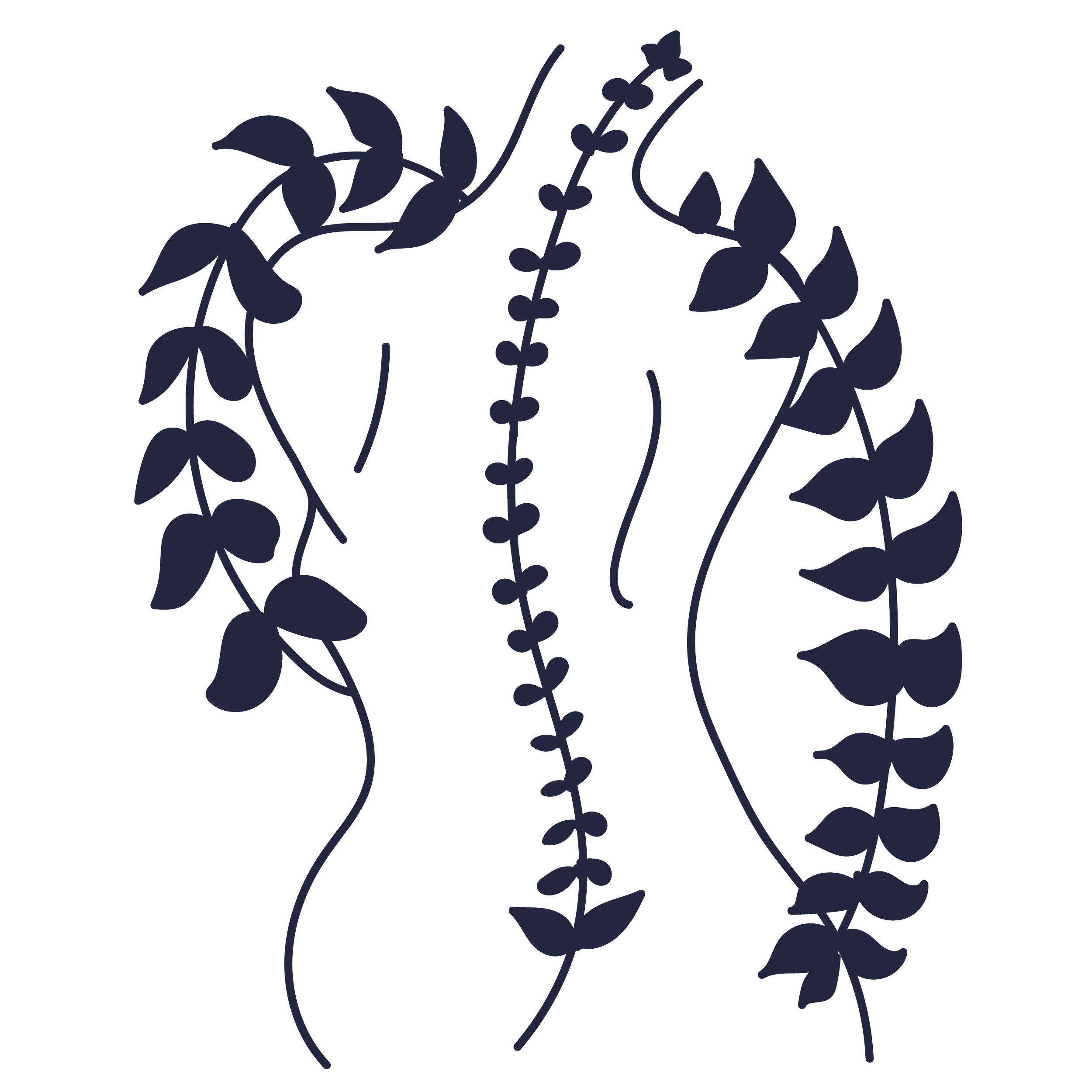 vector image of woman's torso, back view with spinal curve made of leaves. She also has a trail of leaves over her shoulders
