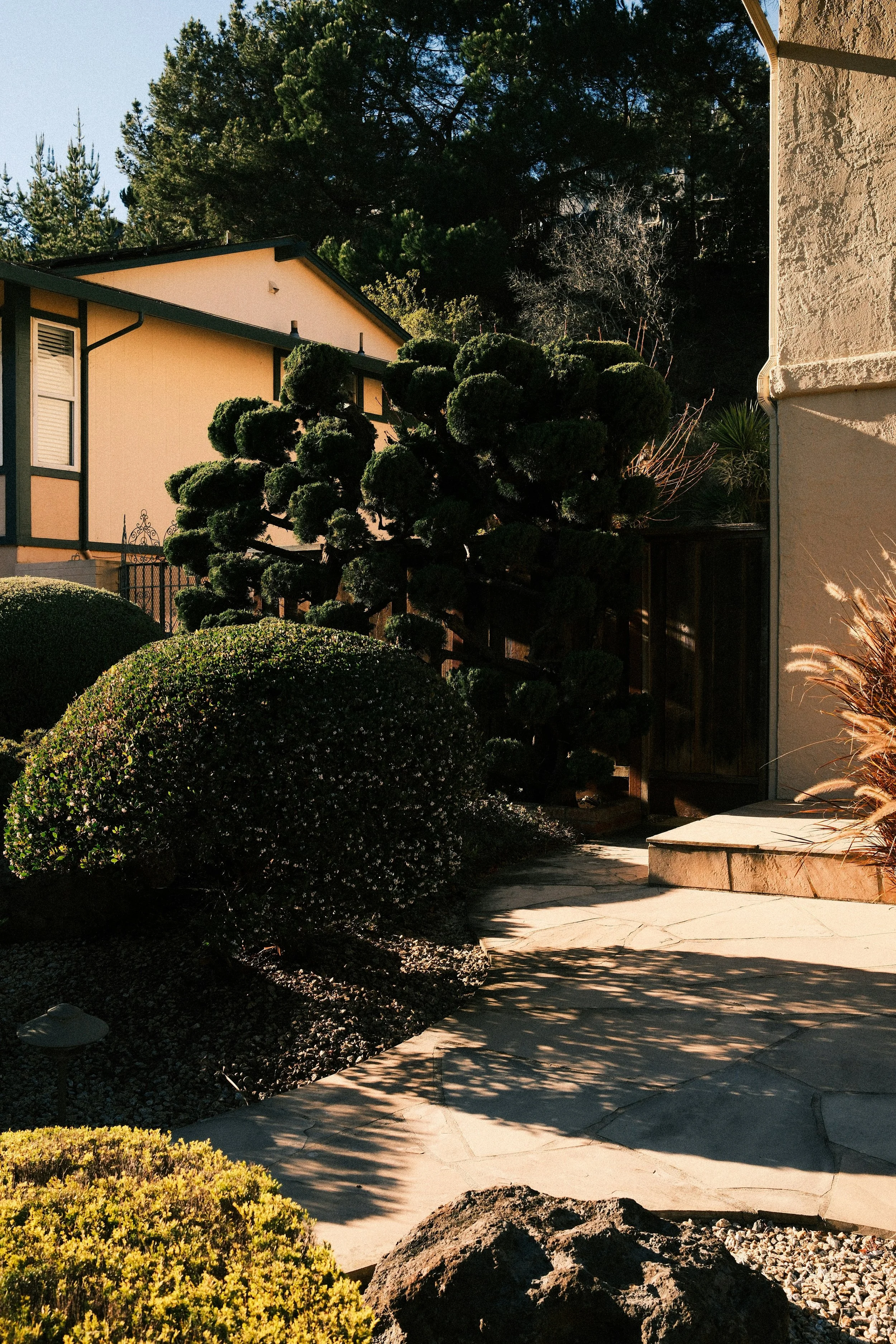 Drought-Resistant Landscaping as Infrastructure: Water Conservation in an Era of Scarcity
