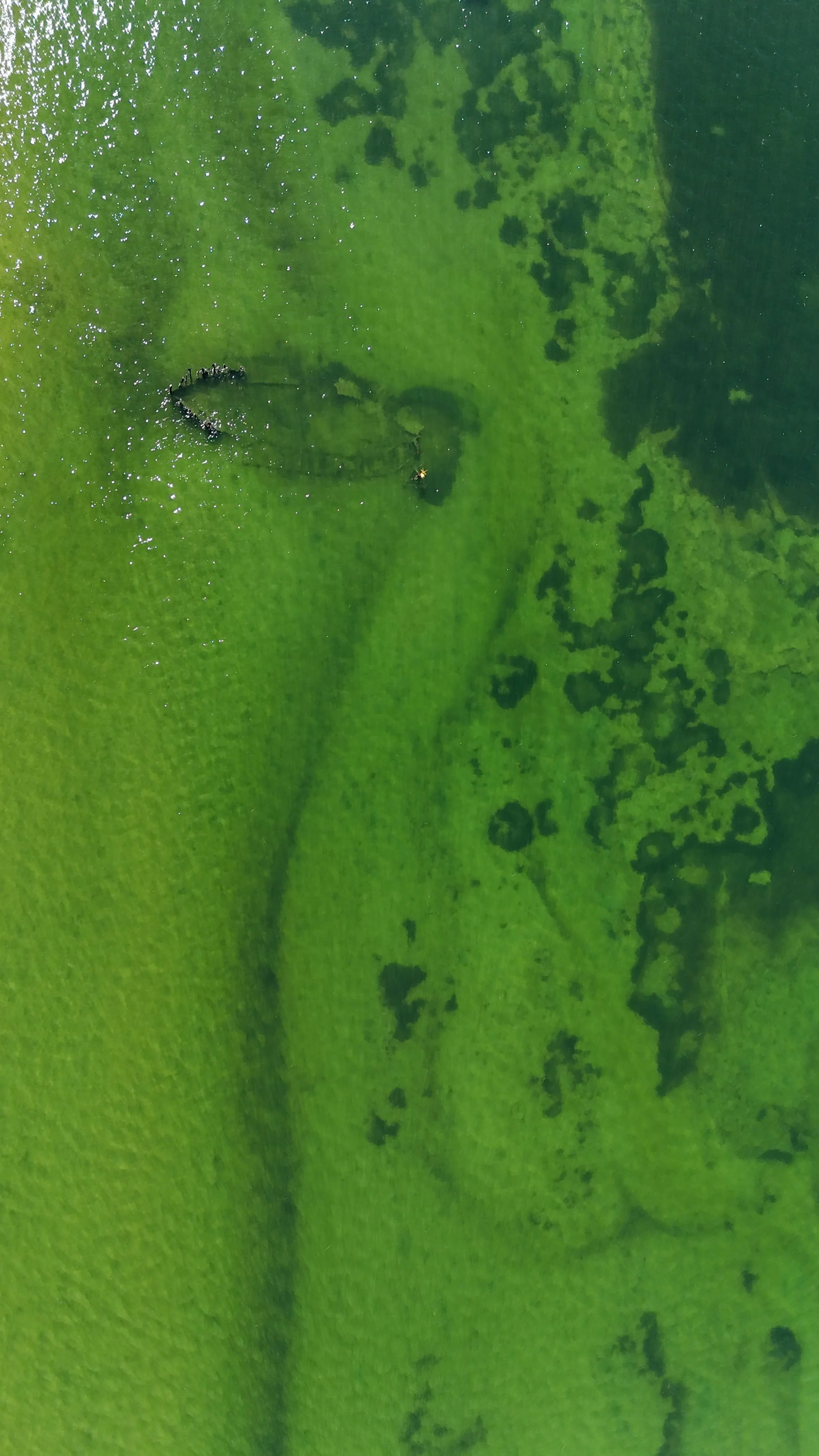 dji_fly_20251207_095832_0019_1765064240167_photo.jpg