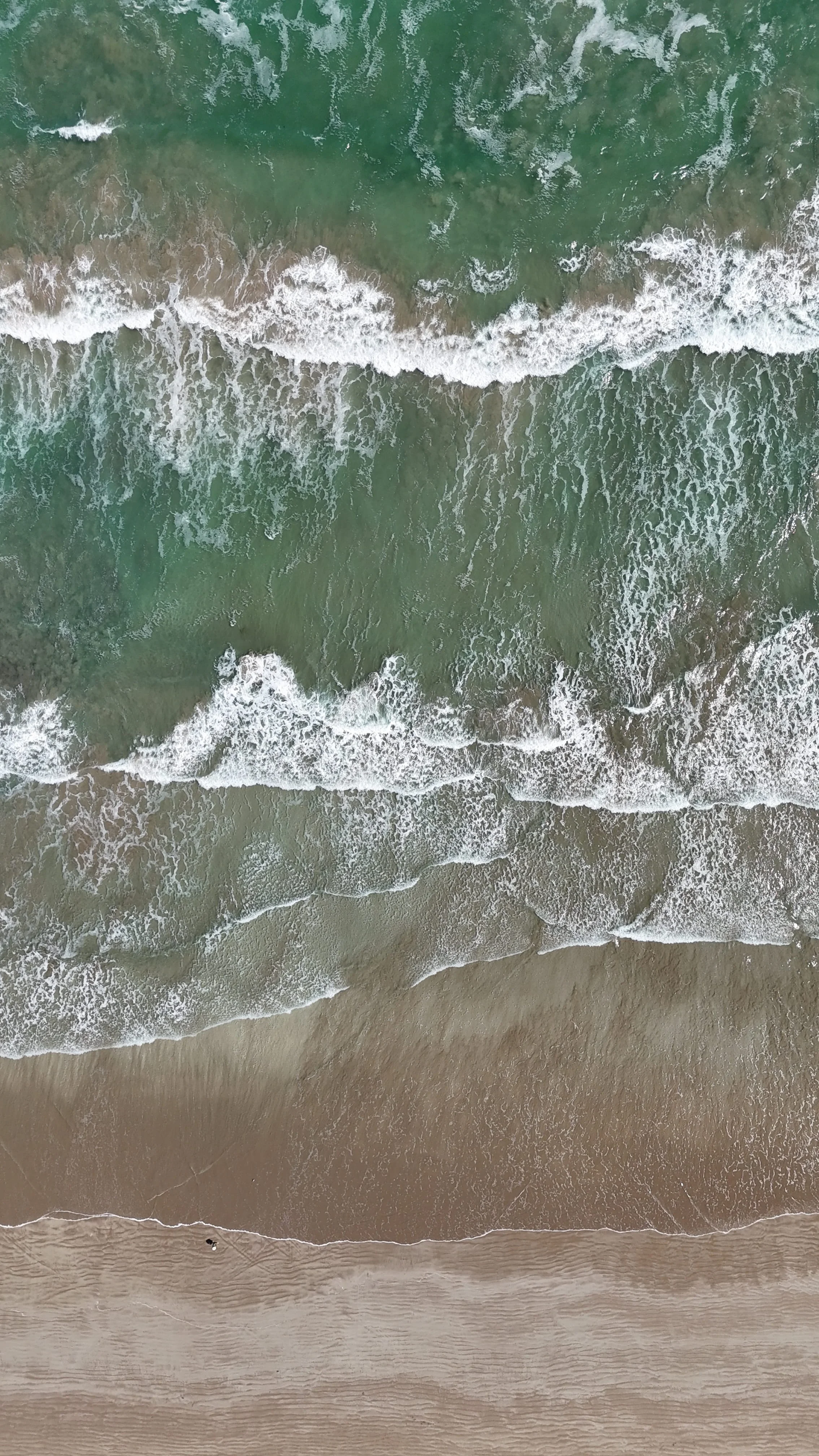 dji_fly_20260117_160226_0017_1768639304431_photo 2 (1).jpg