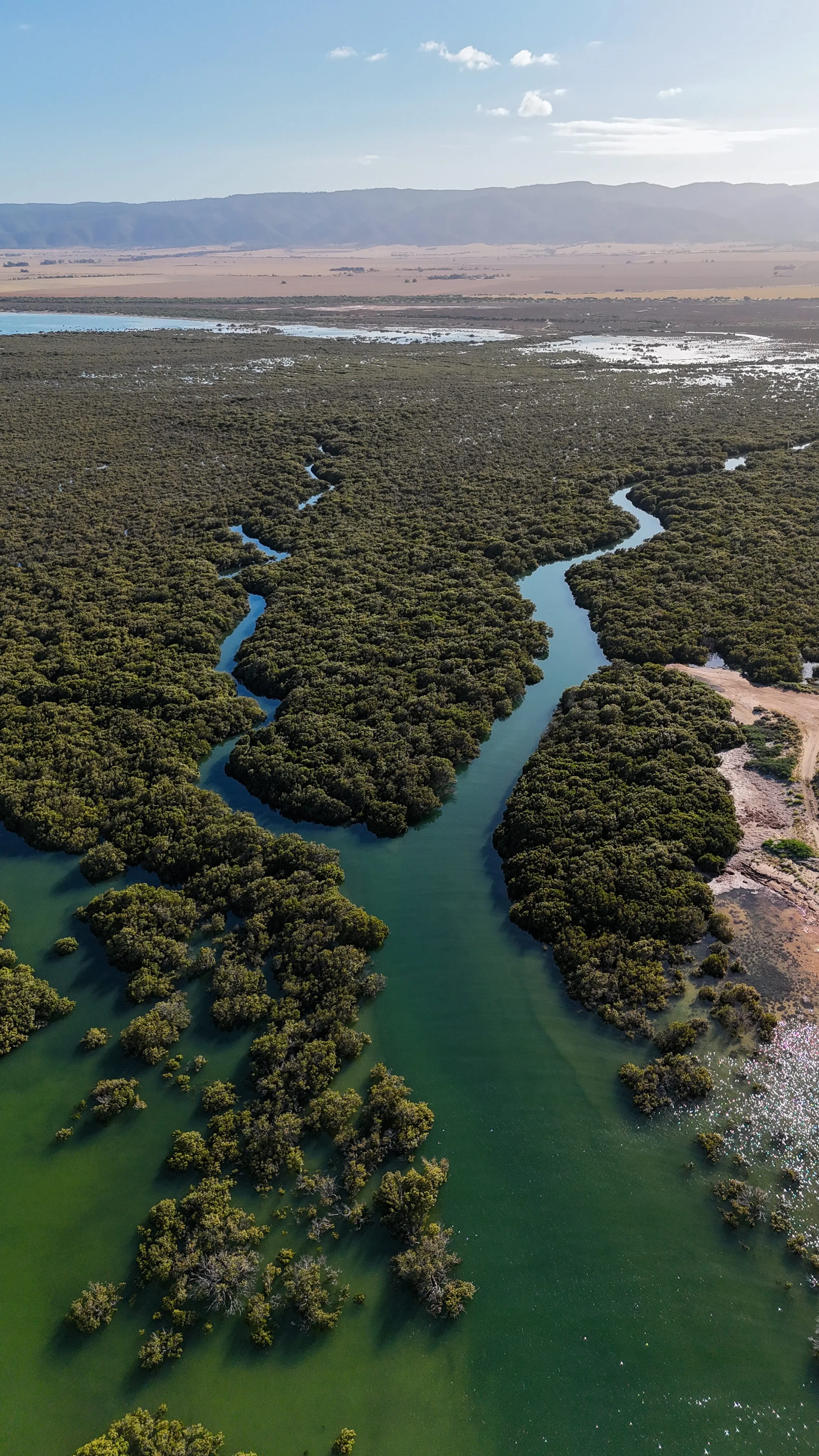 dji_fly_20251207_075450_0013_1765064212482_photo.jpg