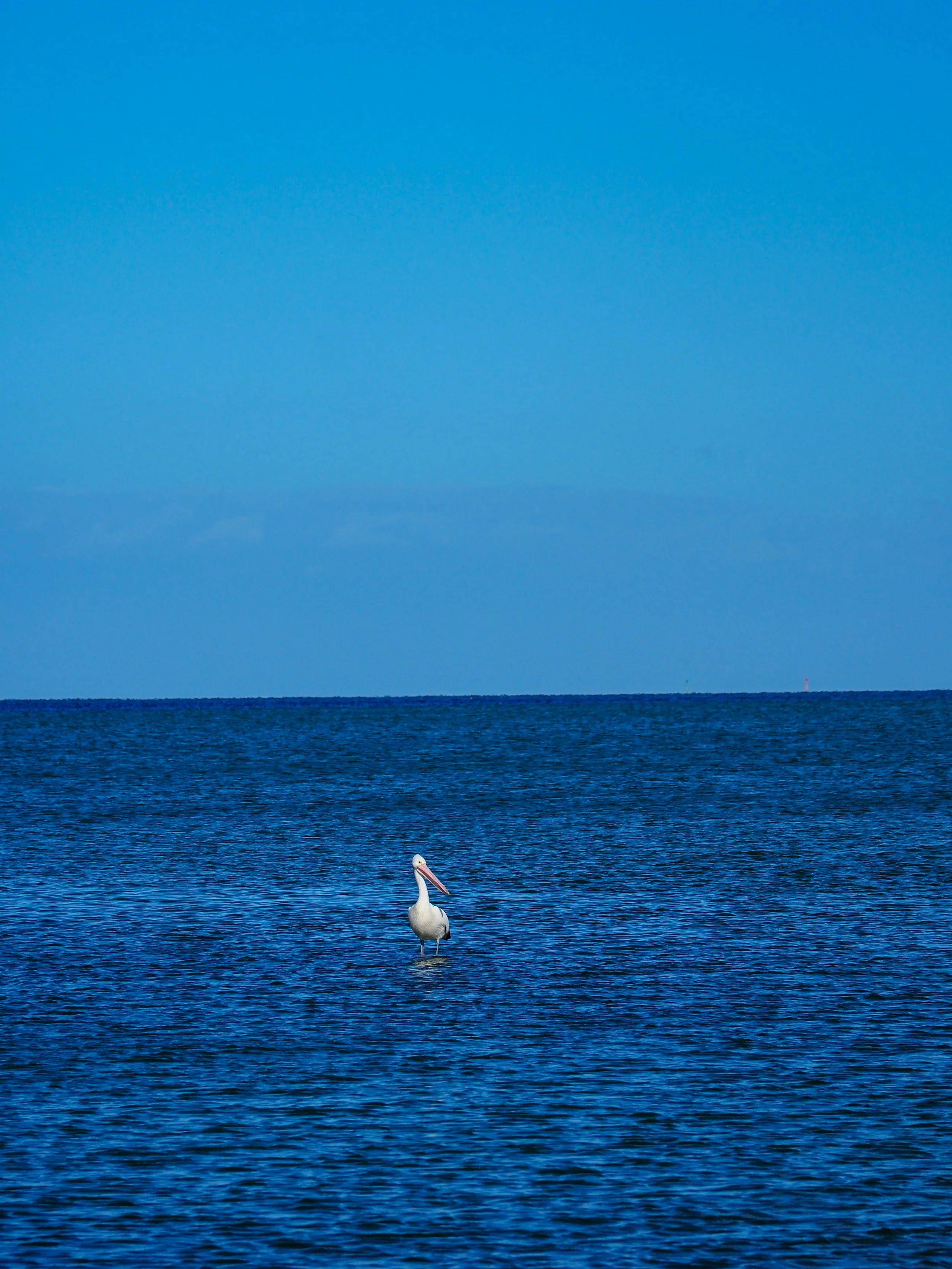 IMG_5728.jpg