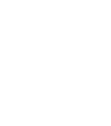 Chartered Accountants logo with a large stylized 'A' and 'C' and the words 'Chartered Accountants Australia & New Zealand' beneath.