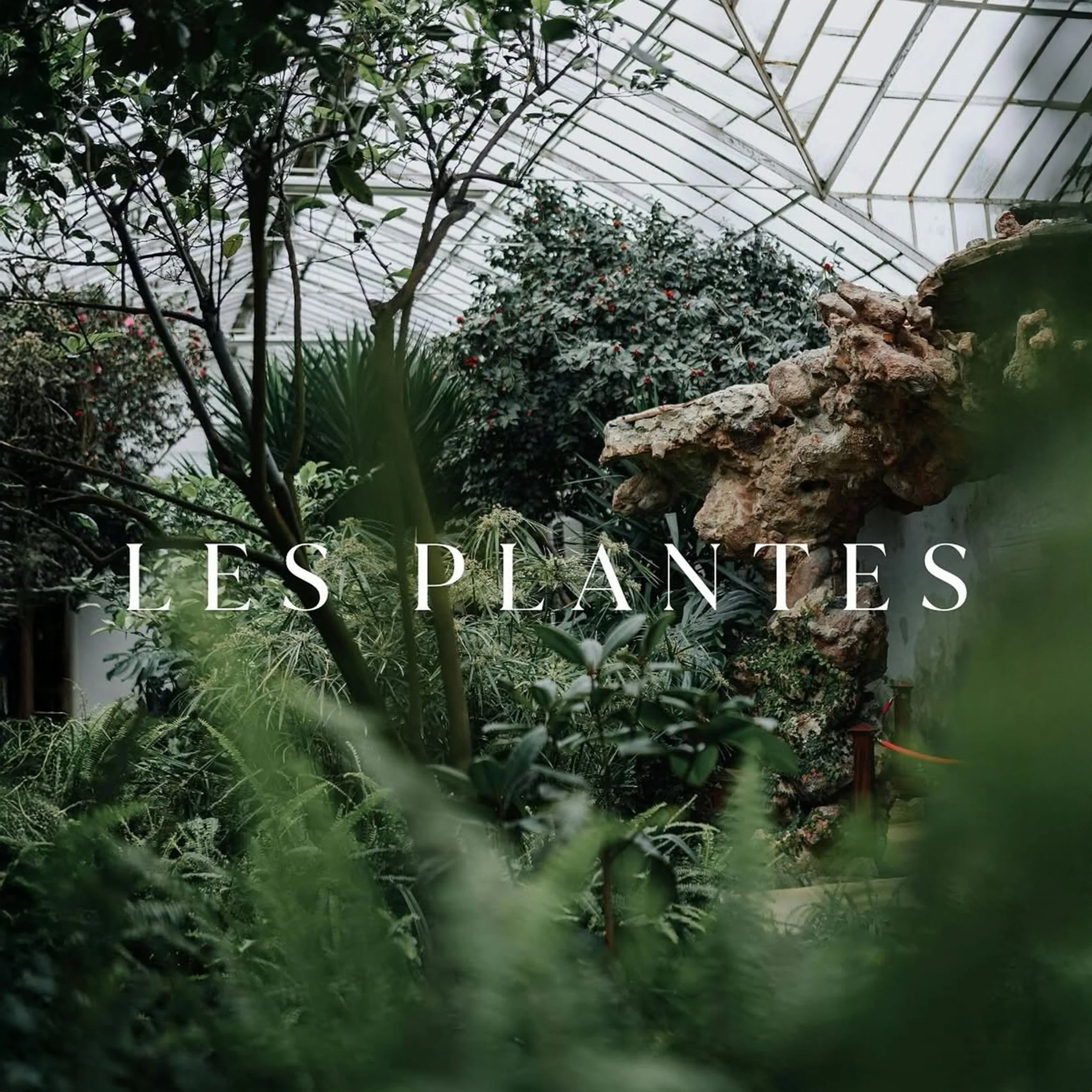LES PLANTES