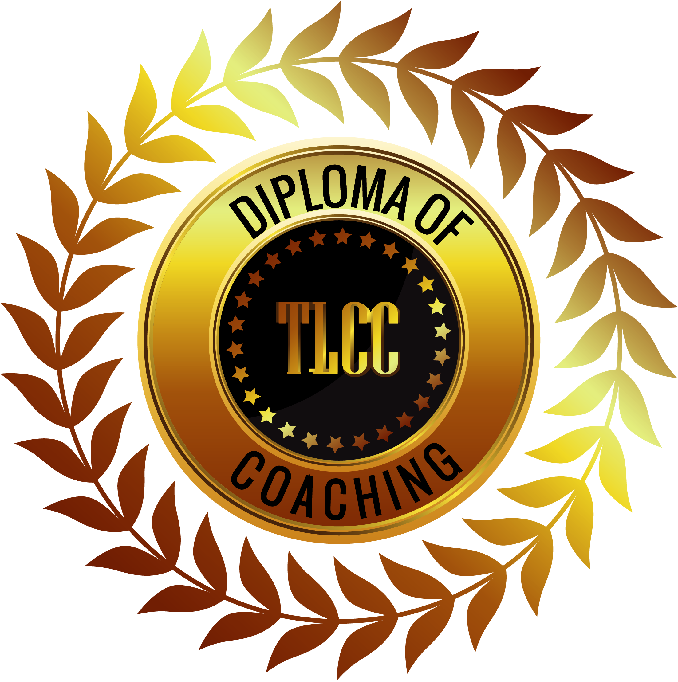 Close-up of a gold seal with black text reading 'Diploma of Teaching'.