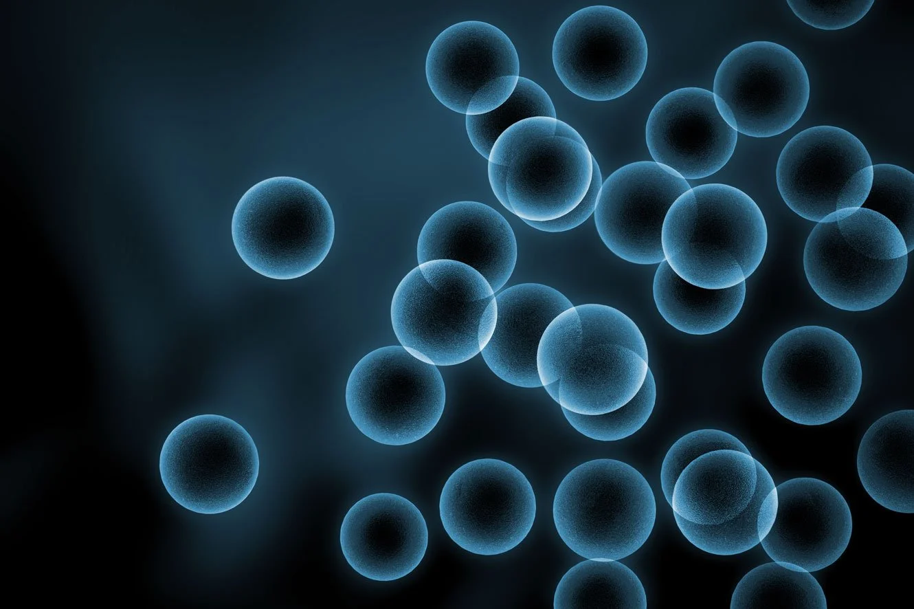 Immune System Insights from HTMA