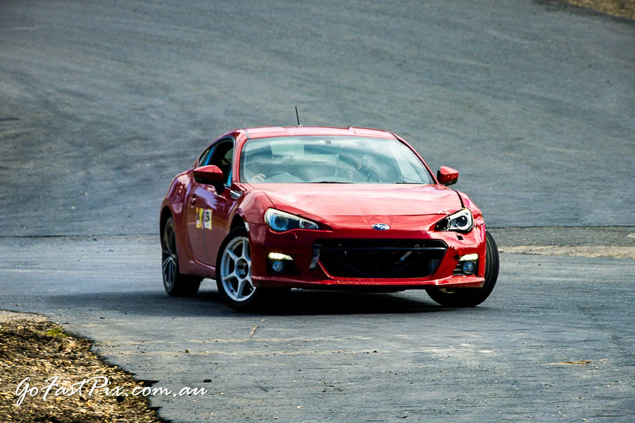 Seth Tanis 16 - 17_08_2025-158.jpg