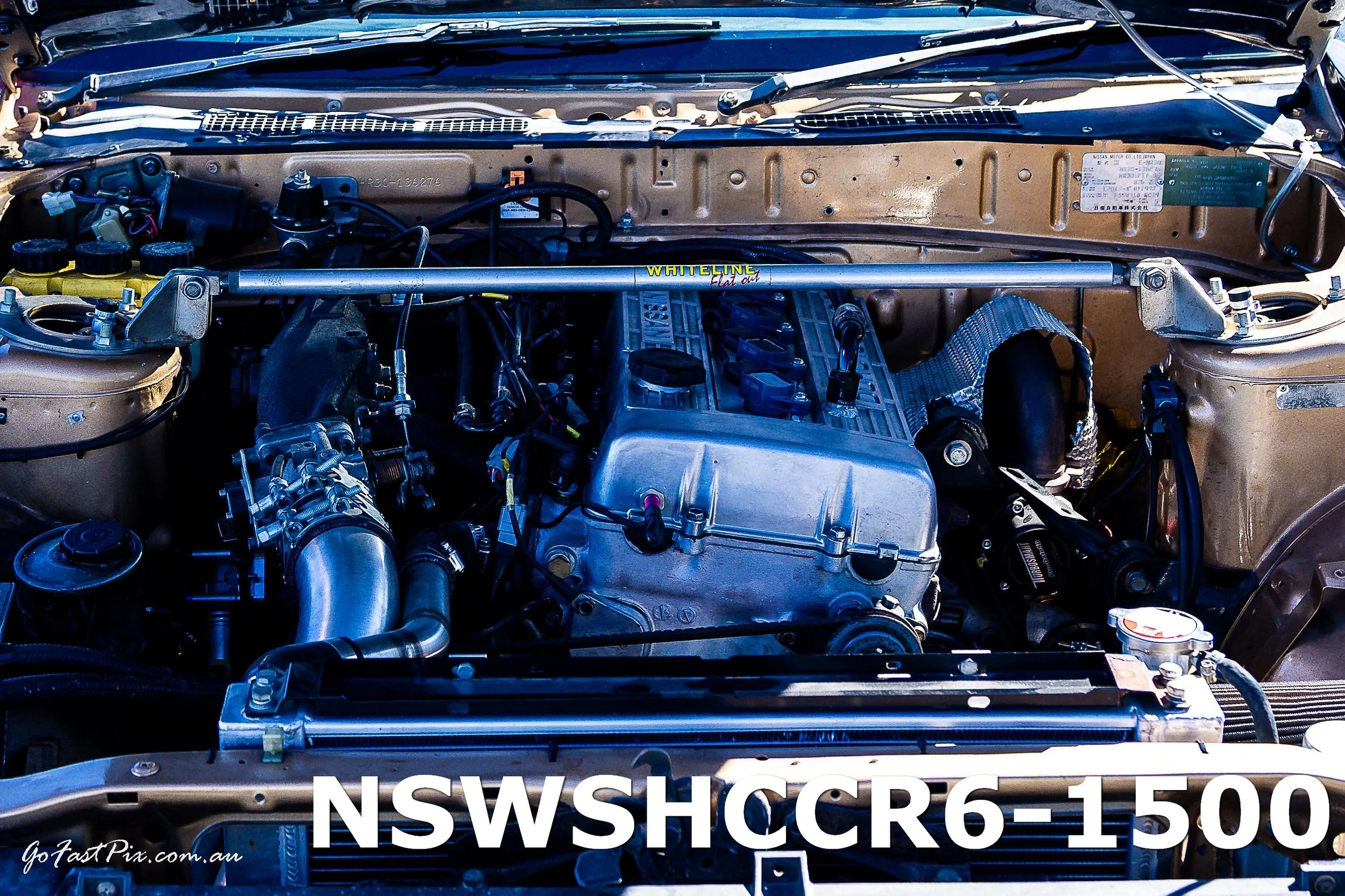 NSWSHCCR6-1500.jpg