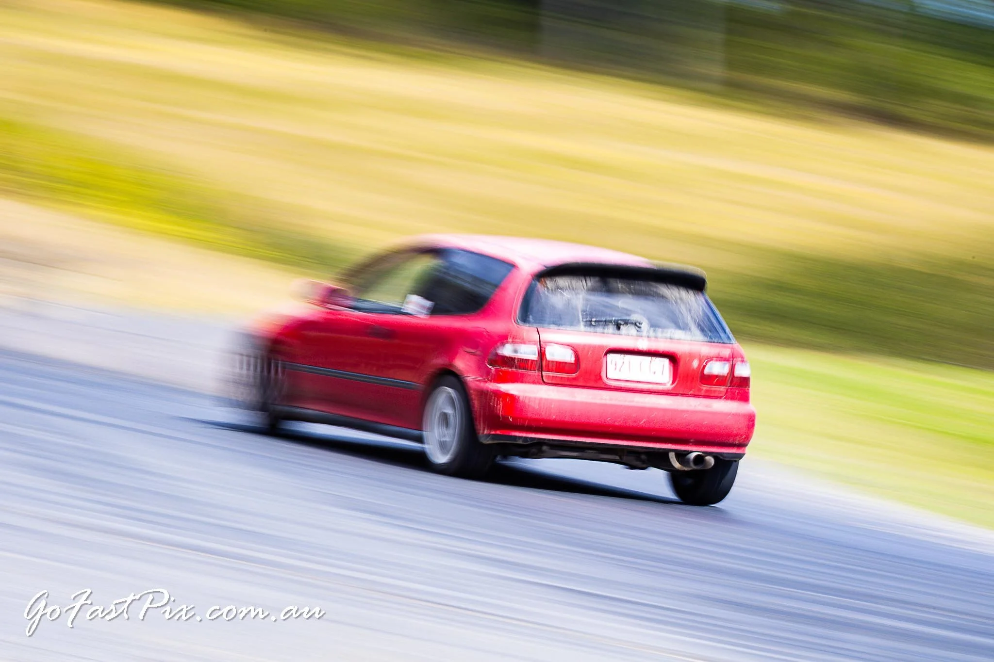 Seth Tanis 16 - 17_08_2025-090.jpg