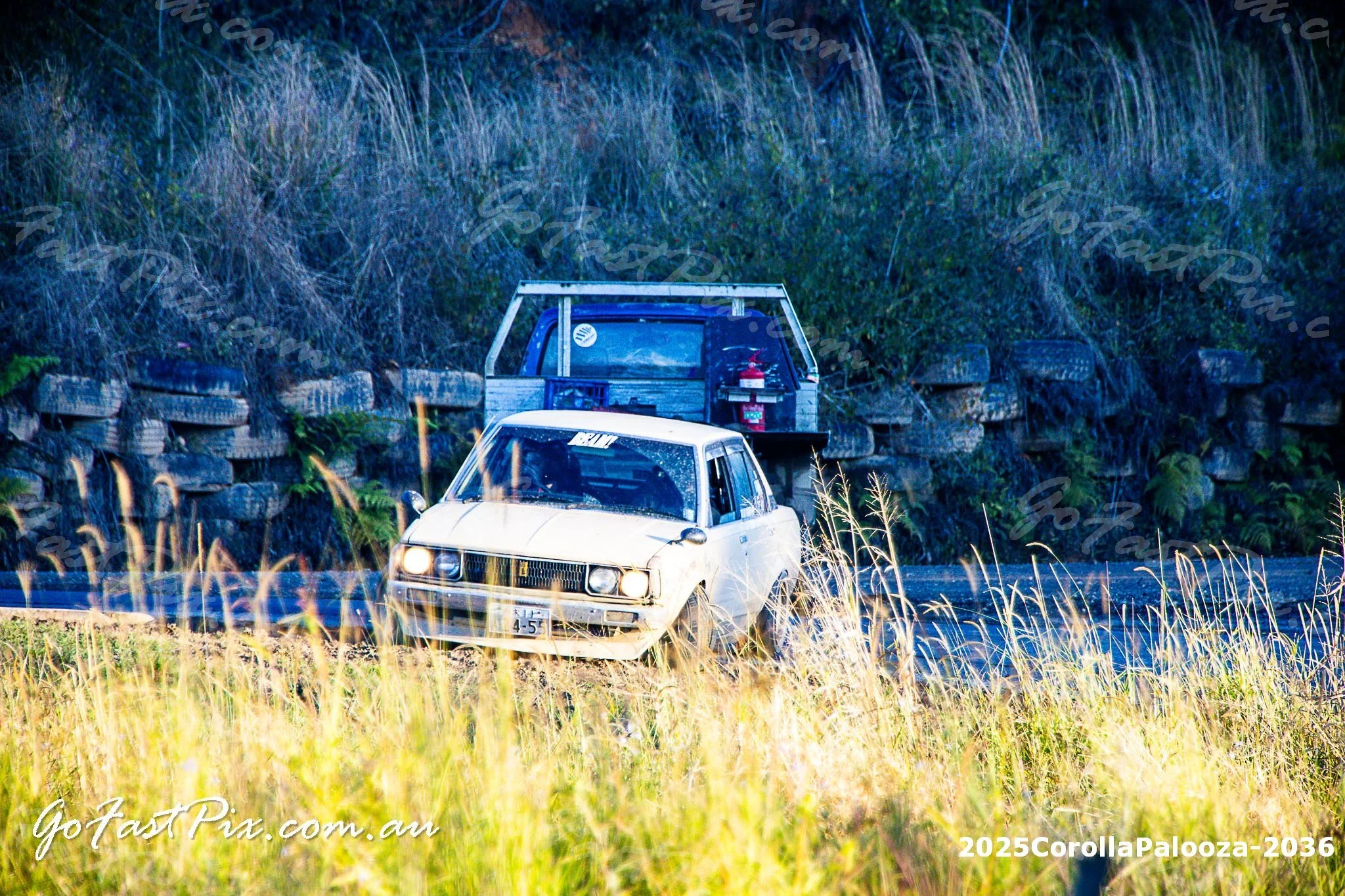 2025CorollaPalooza-2036.jpg