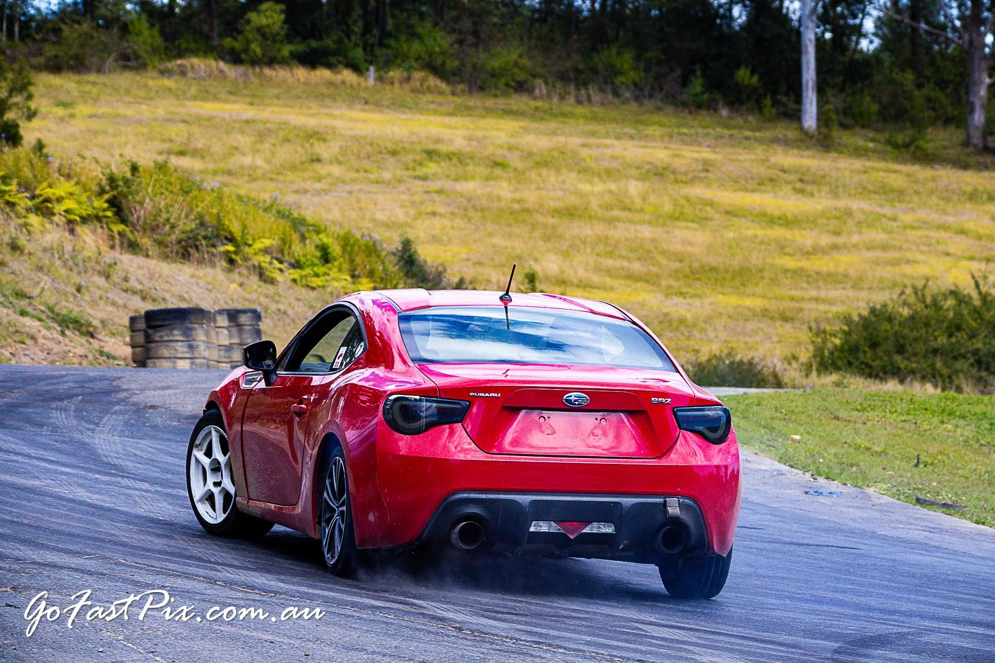 Seth Tanis 16 - 17_08_2025-121.jpg