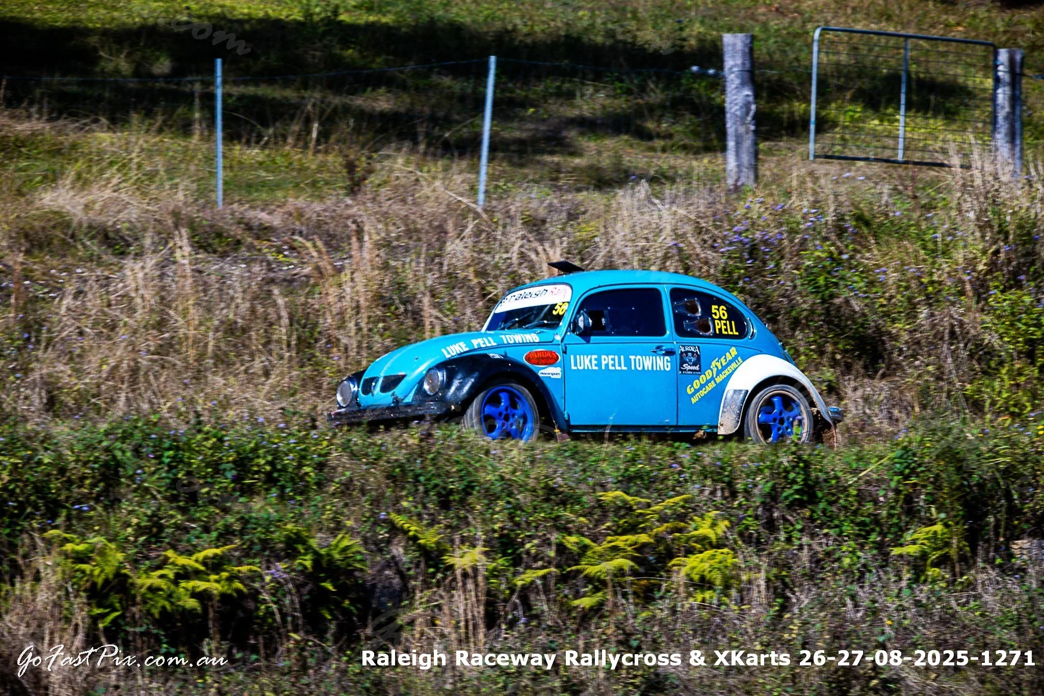 Raleigh Raceway Rallycross & XKarts 26-27-08-2025-1271.jpg