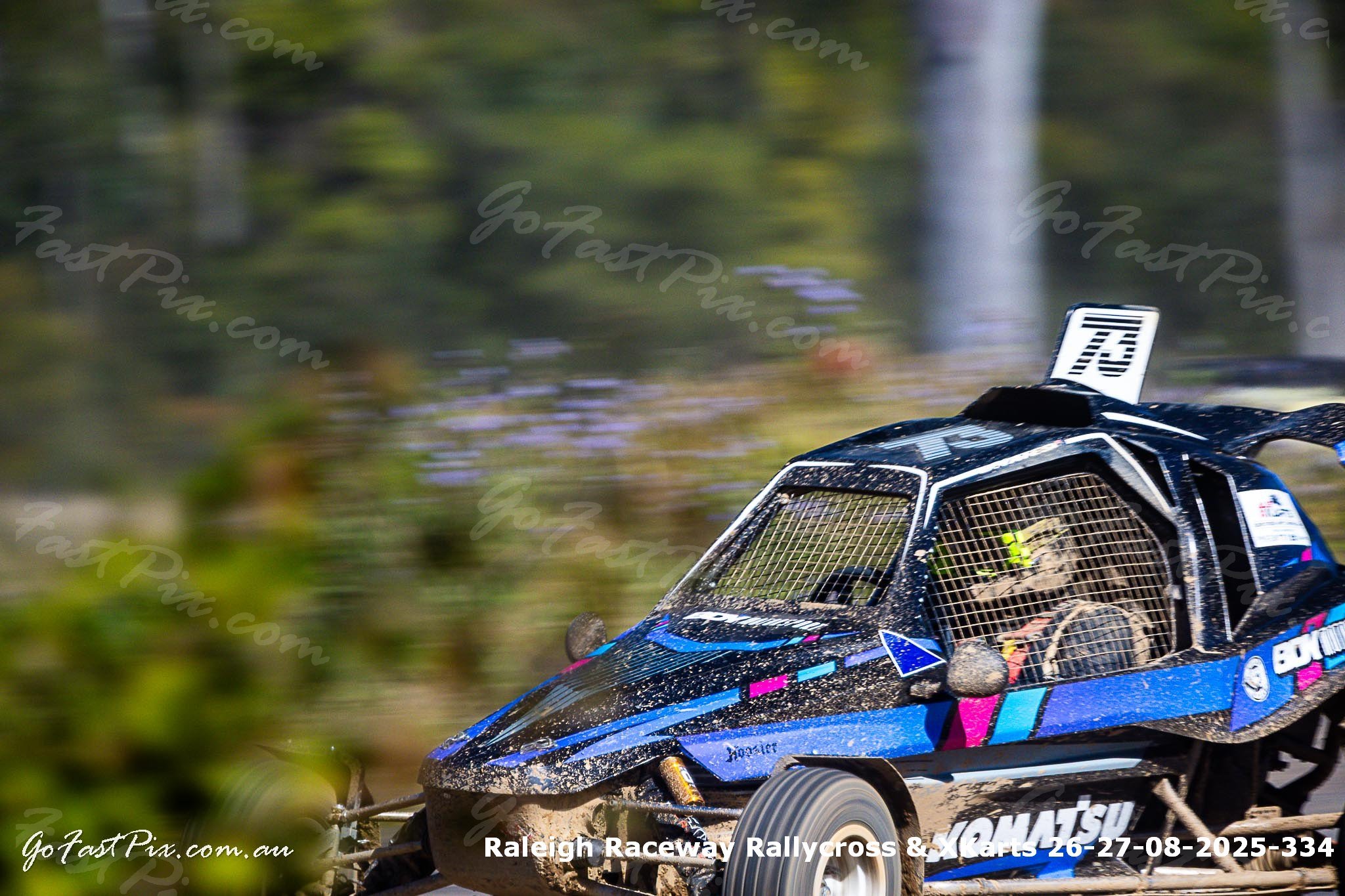 Raleigh Raceway Rallycross & XKarts 26-27-08-2025-334.jpg