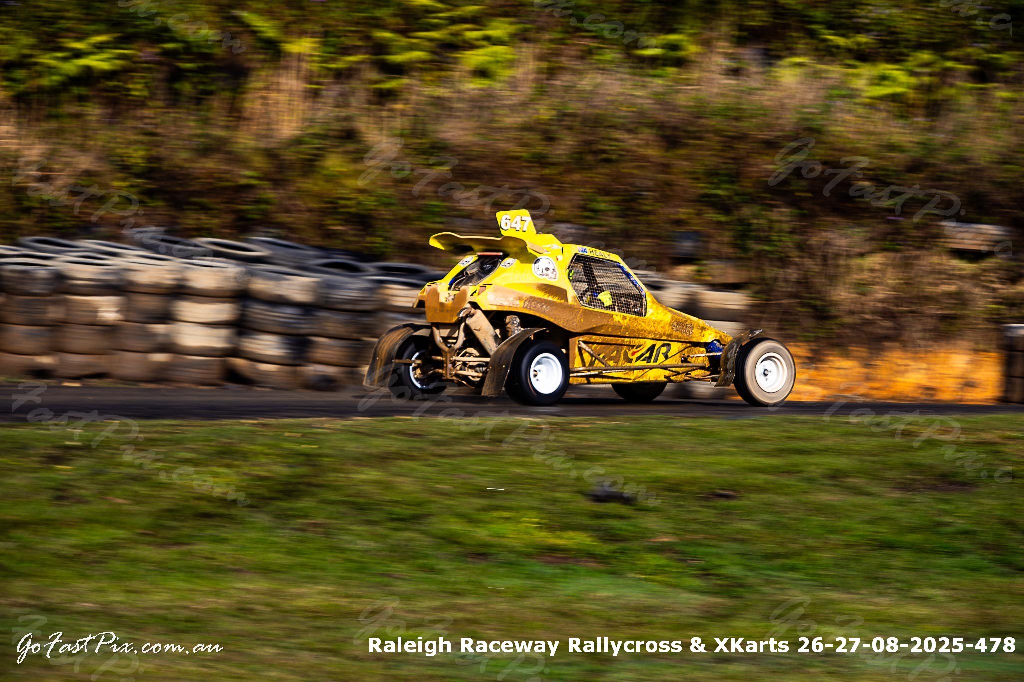 Raleigh Raceway Rallycross & XKarts 26-27-08-2025-478.jpg