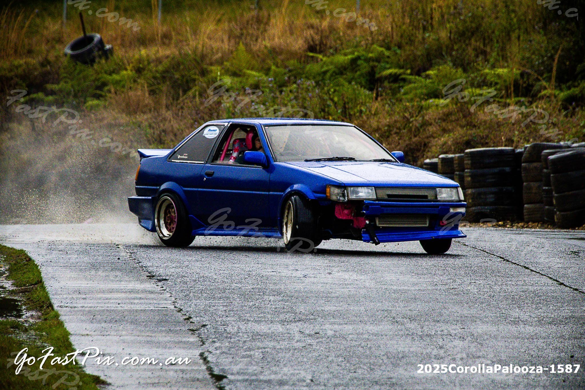 2025CorollaPalooza-1587.jpg
