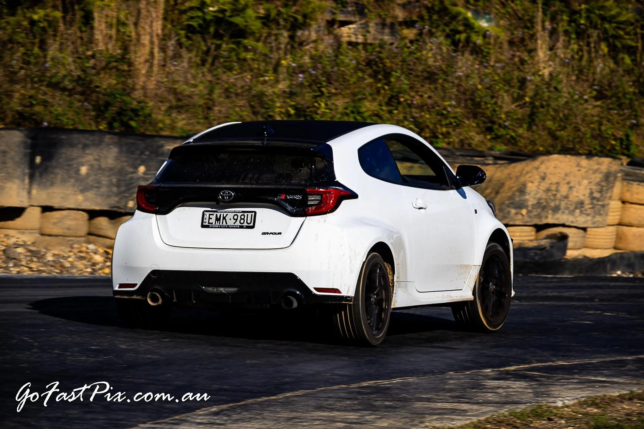 Seth Tanis 16 - 17_08_2025-083.jpg