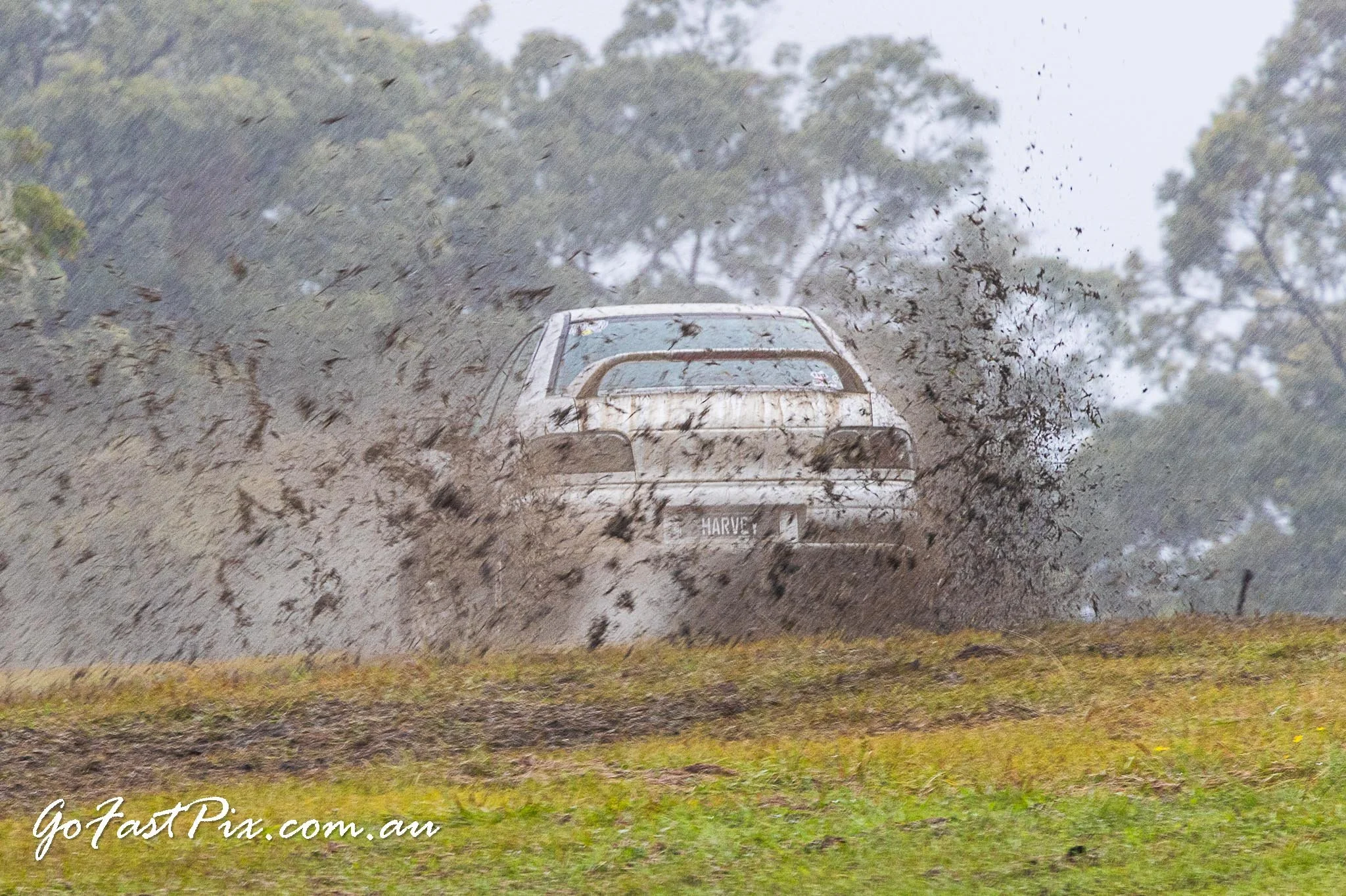 Khanacross 20250803-146.jpg