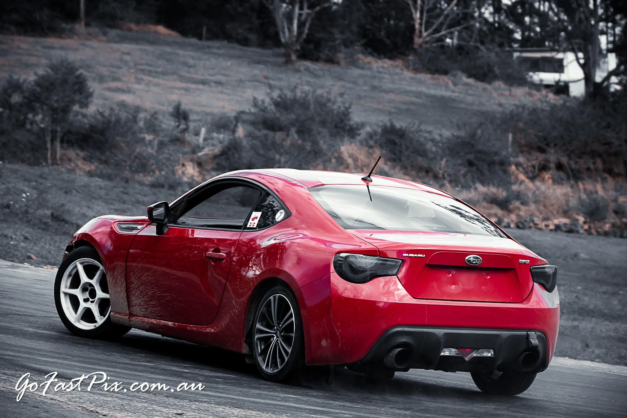 Seth Tanis 16 - 17_08_2025-122.jpg