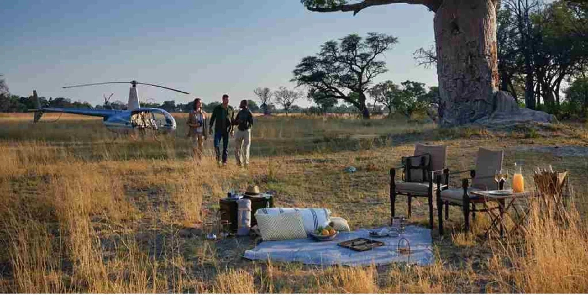 A safari scene with a helicopter in the background, three people walking toward a large tree, and a picnic setup with chairs, a blanket, and drinks in the foreground.